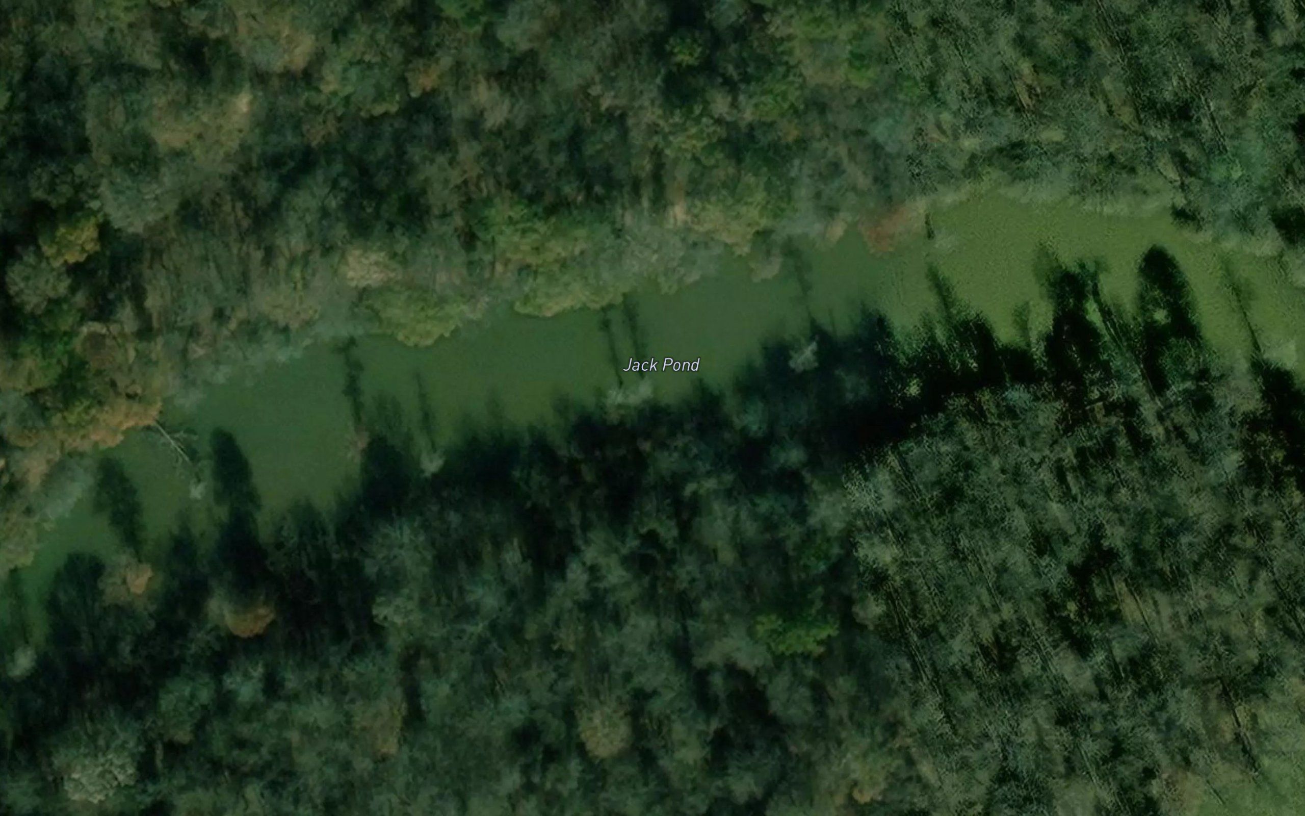 Jack Pond