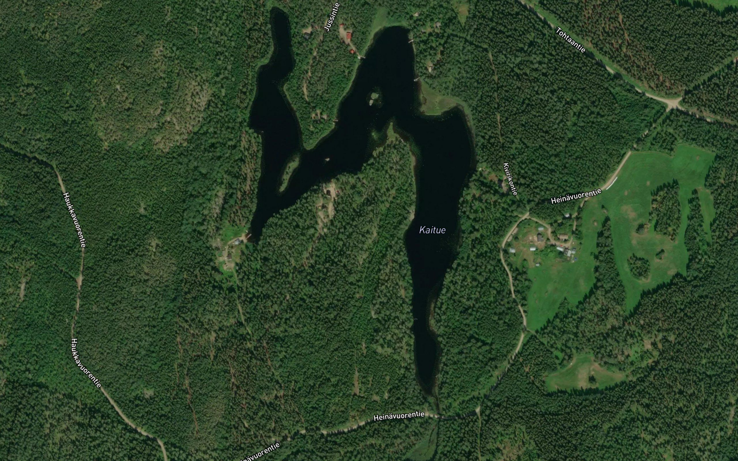 Kaitue