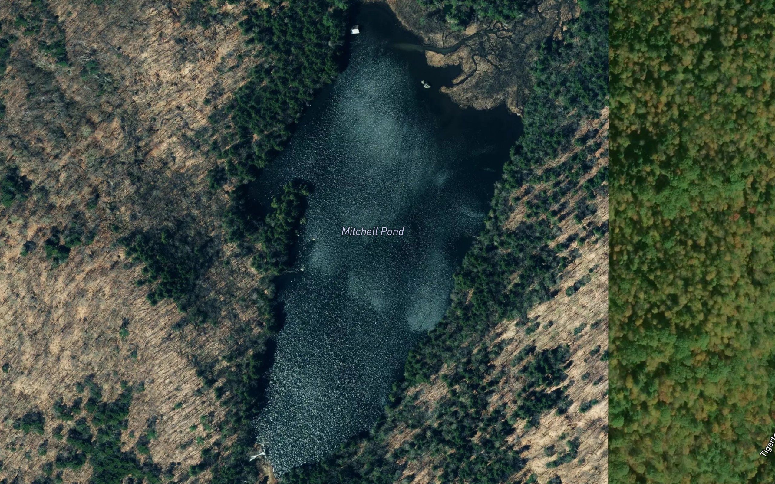 Mitchell Pond