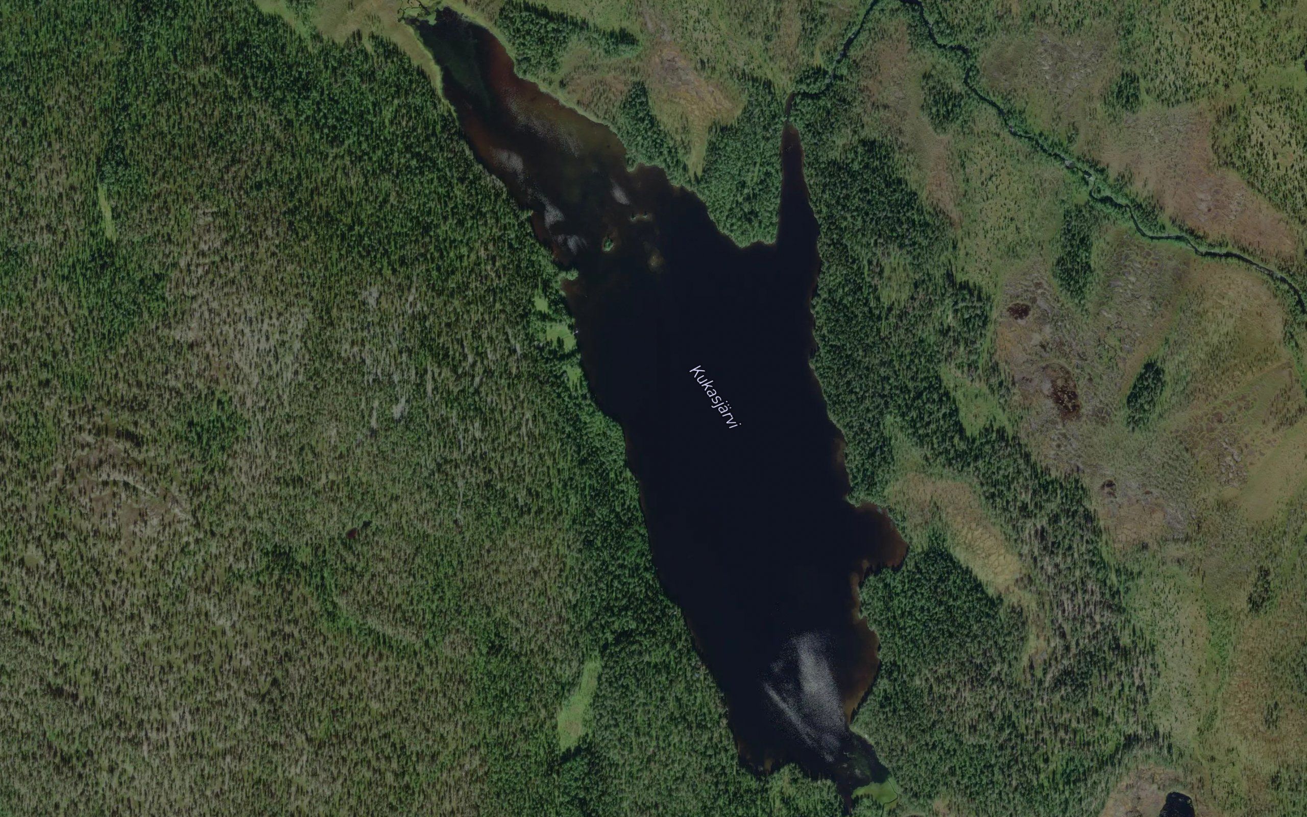 Kukasjarvi