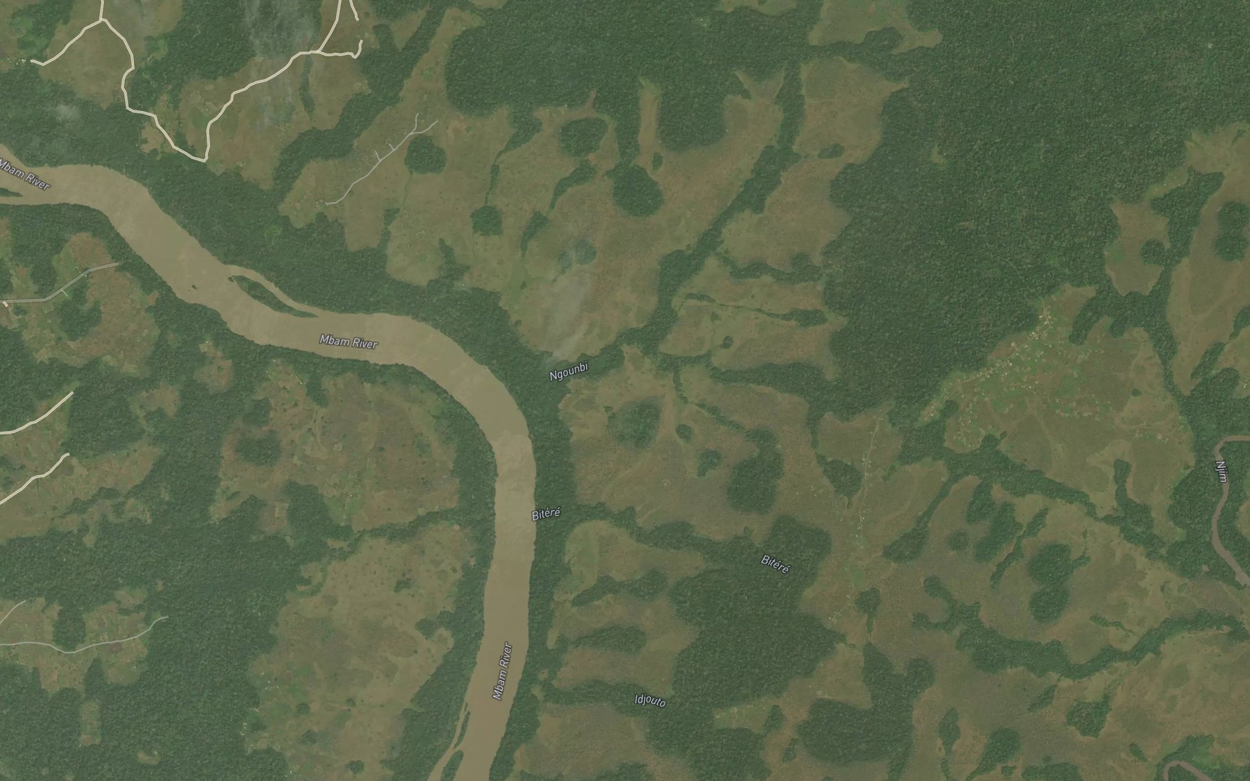 Satellite map of the Ngoumbi