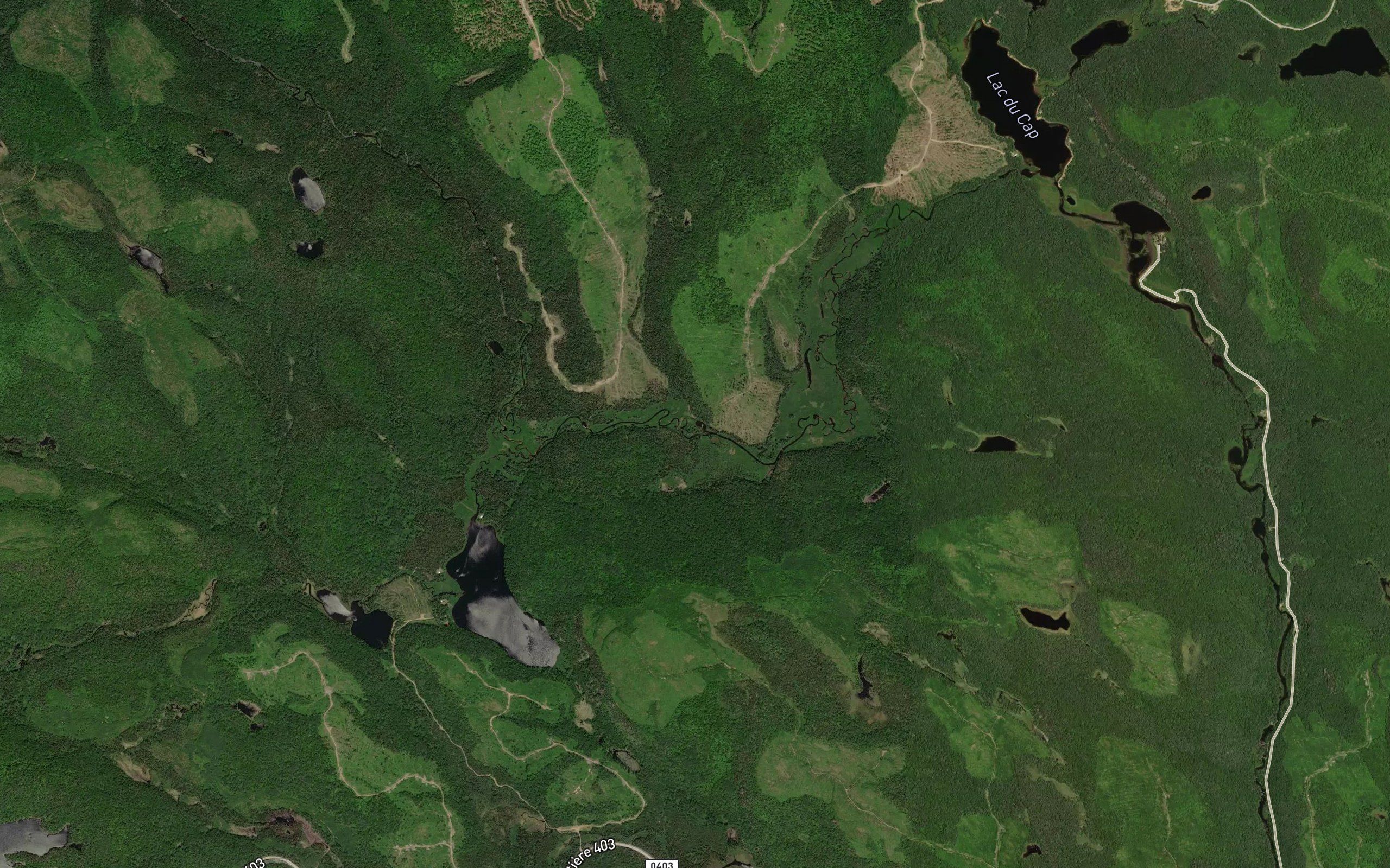 Lac Mystic