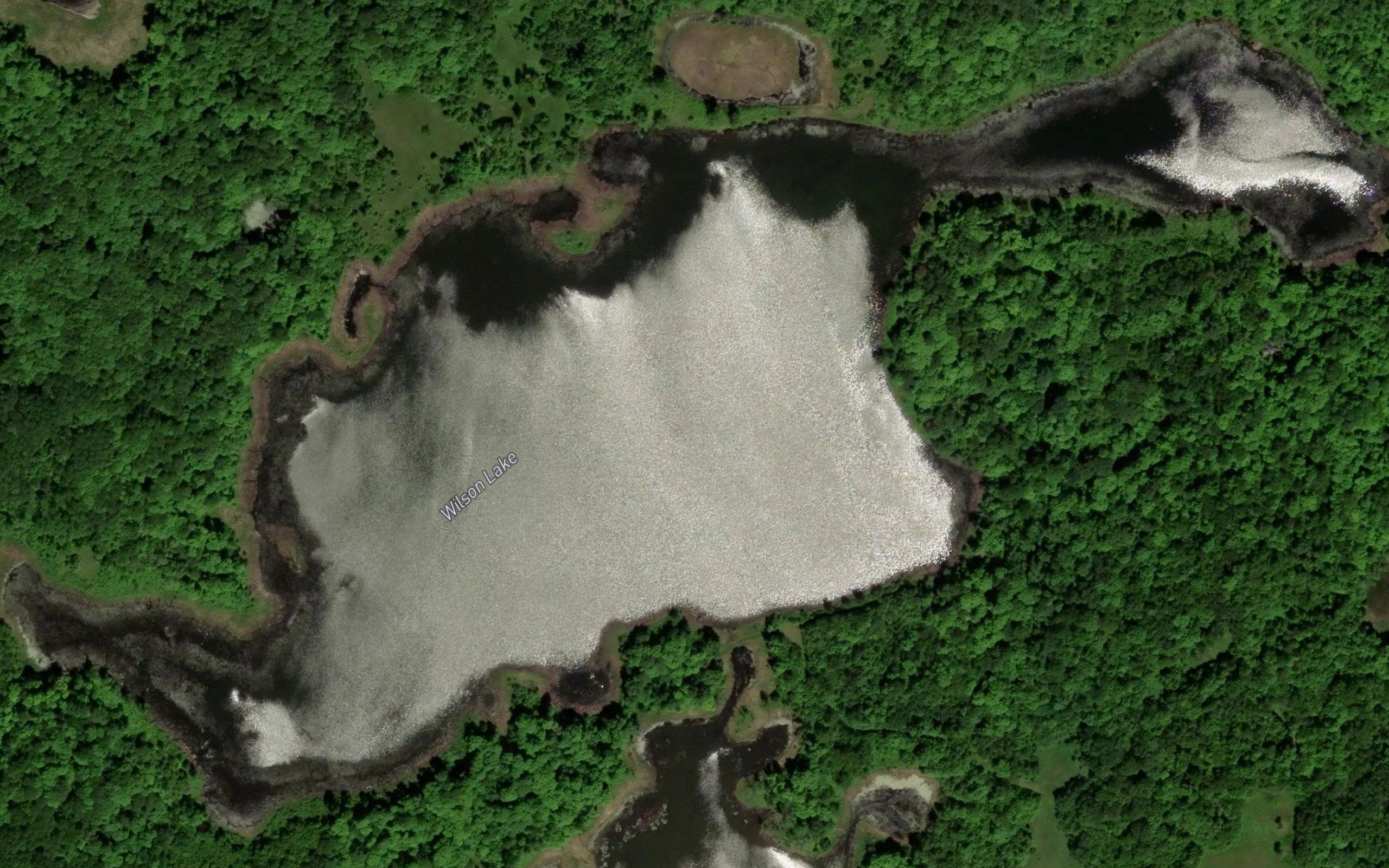 Wilson Lake