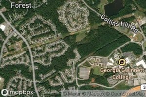 Little Suwanee Creek