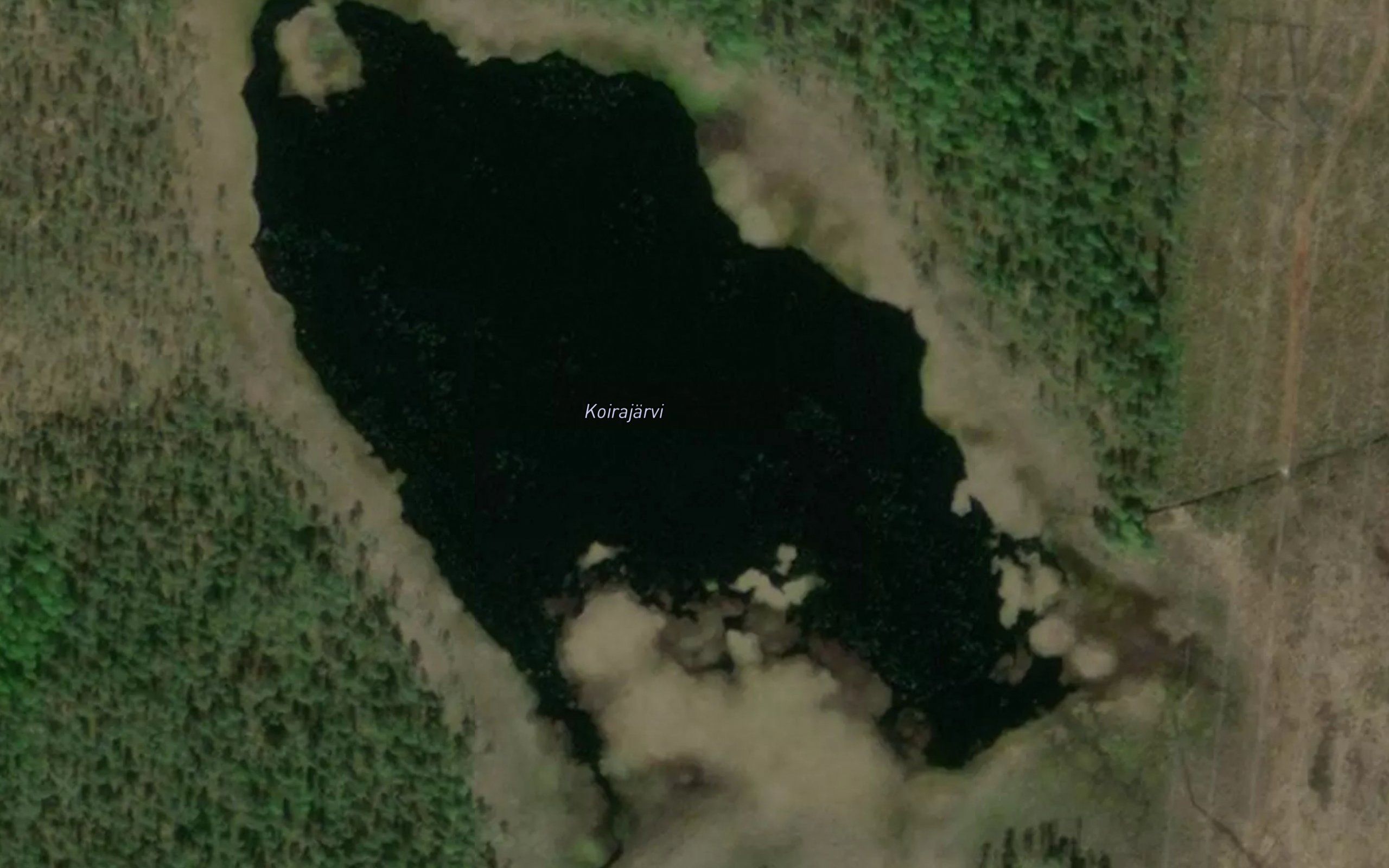 Koirajarvi