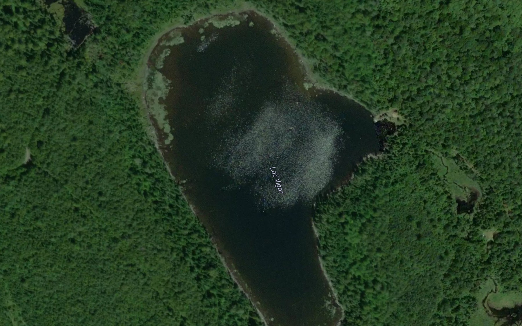 Satellite map of the Lac Vigor