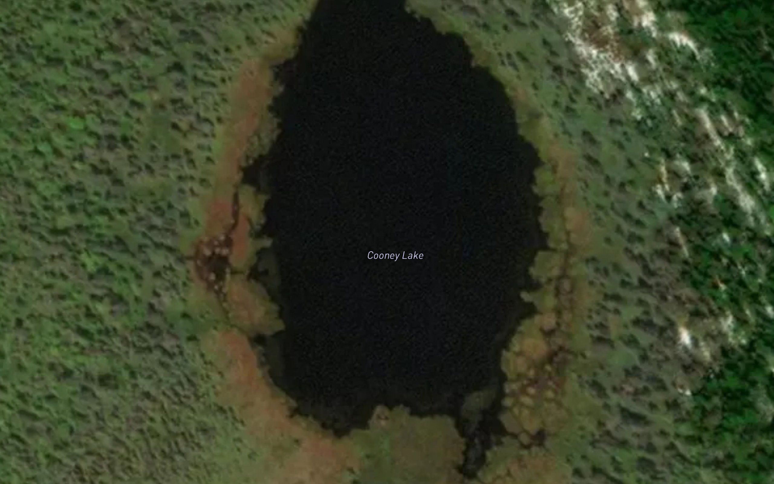 Cooney Lake