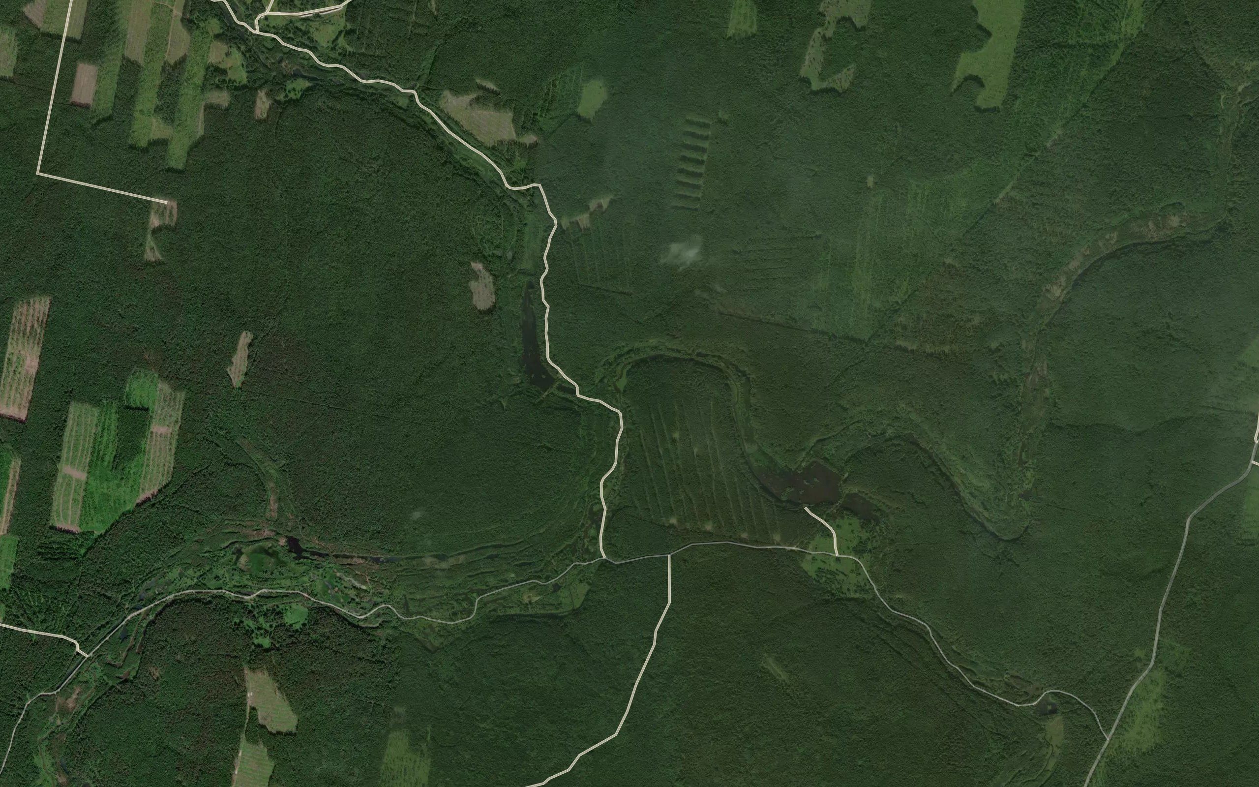 Zabolotnaya