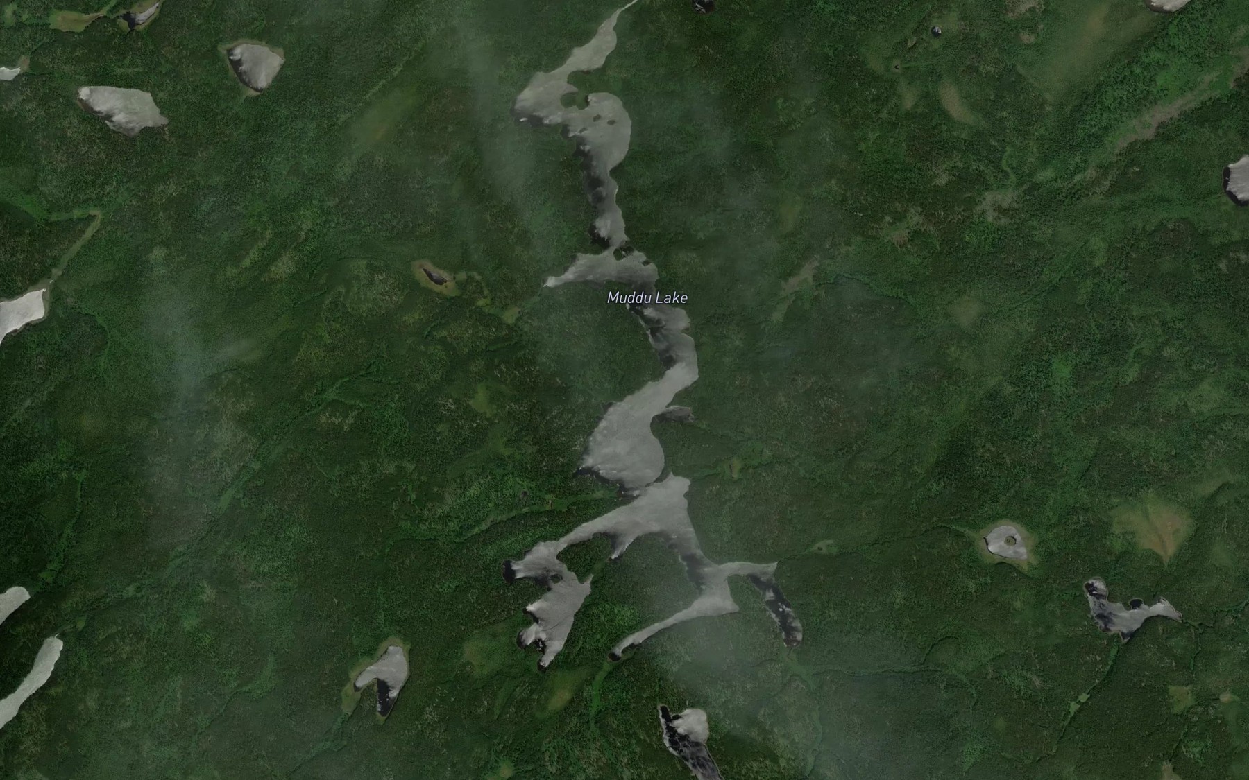 Satellite map of the Muddu Lake