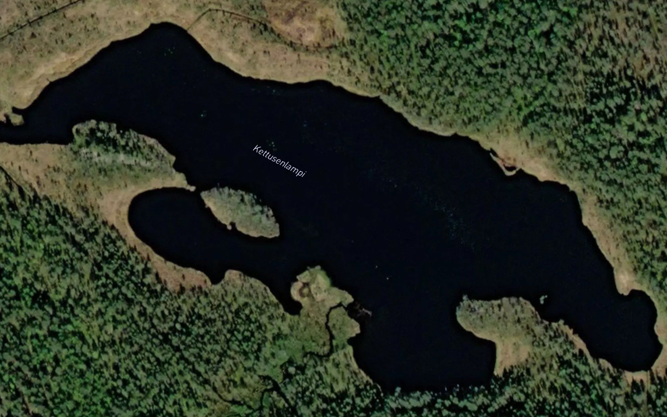 Kettusenlampi