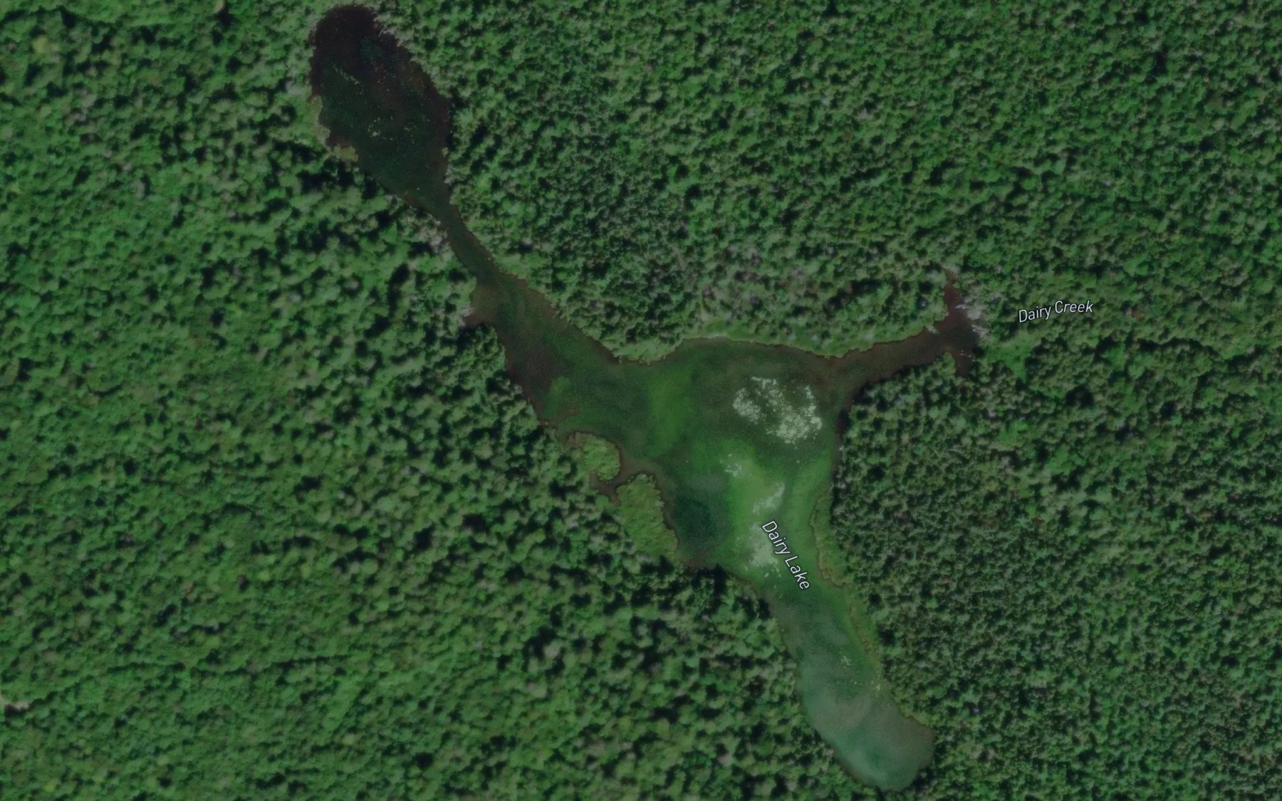 Satellite map of the Dairy Lake