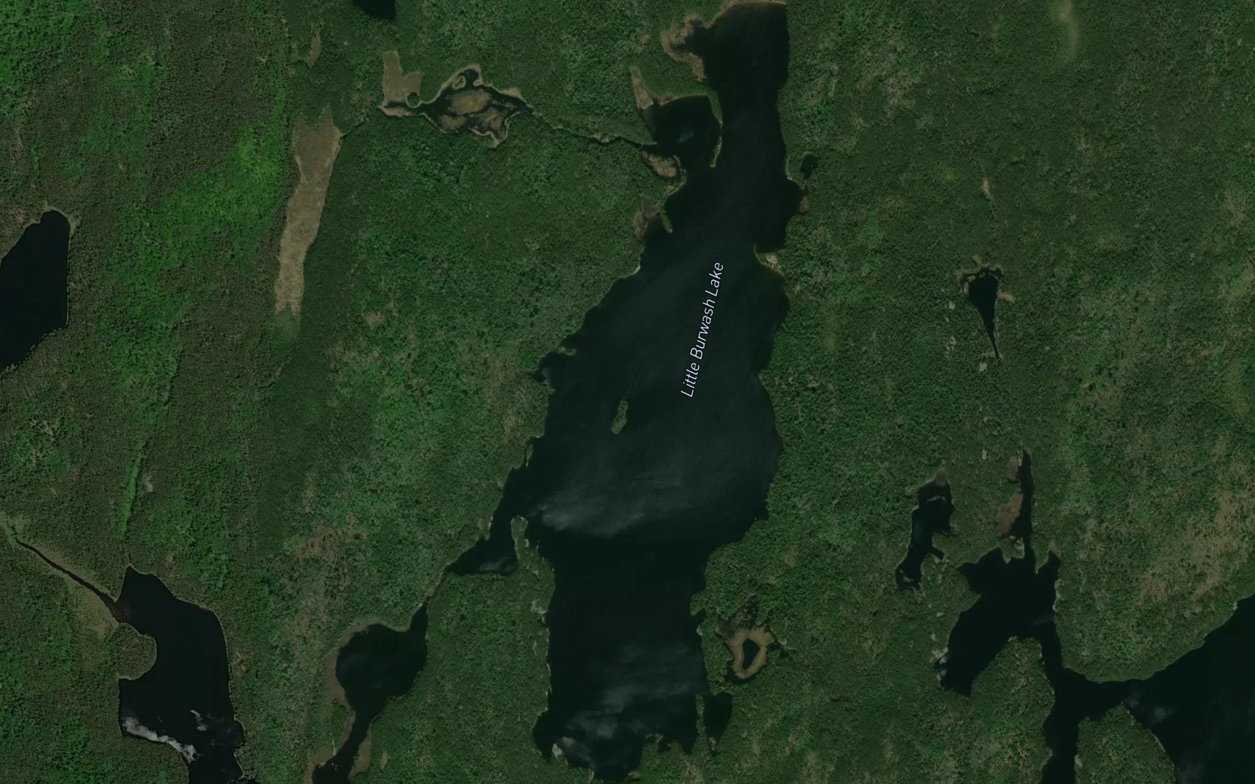 Satellite map of the Little Burwash Lake