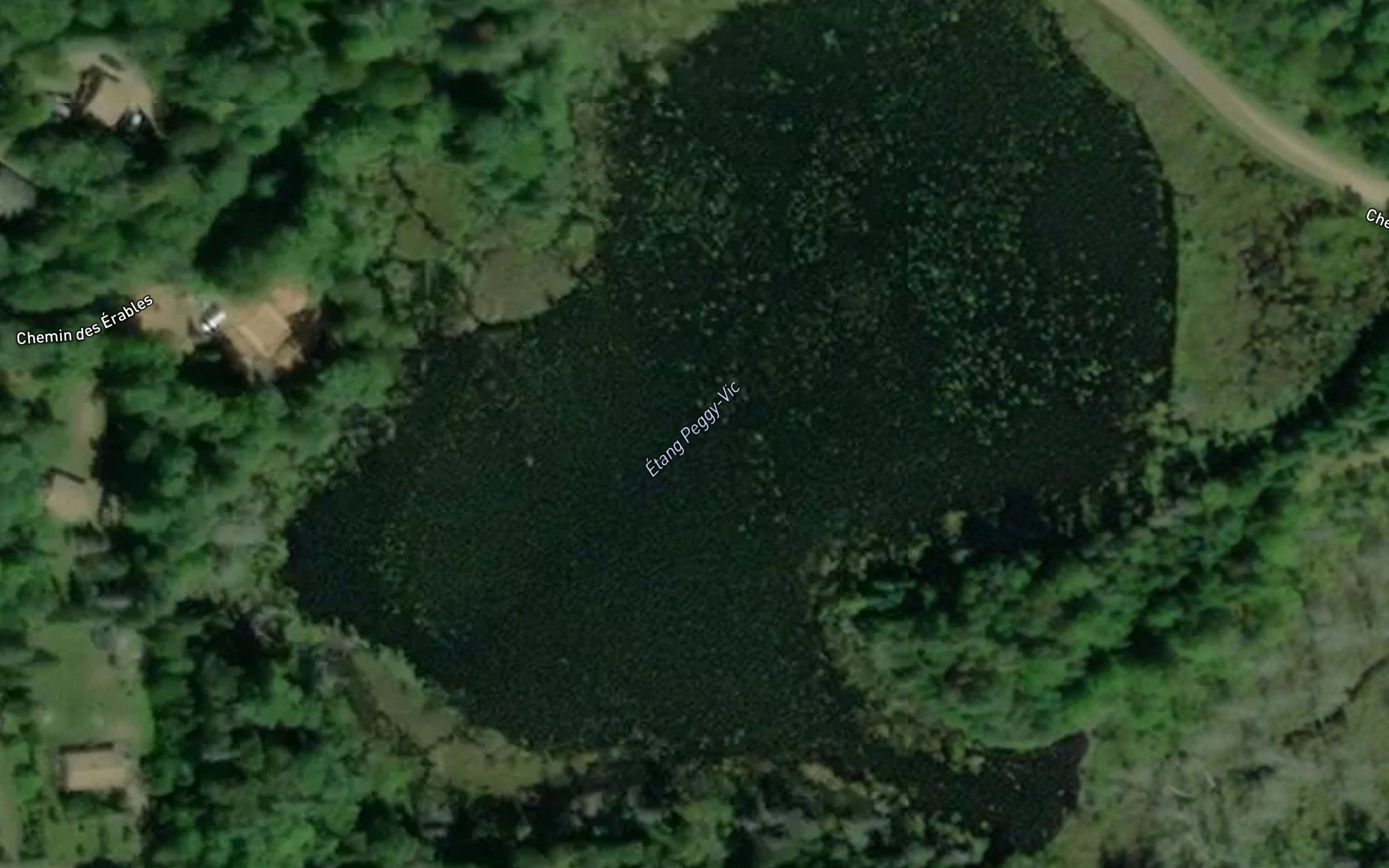 Etang Peggy-Vic