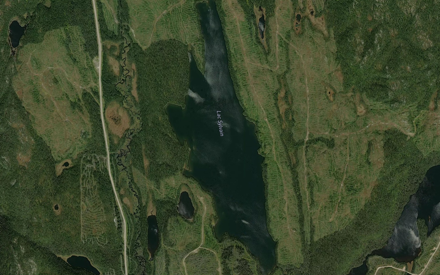 Satellite map of the Lac Sylvain