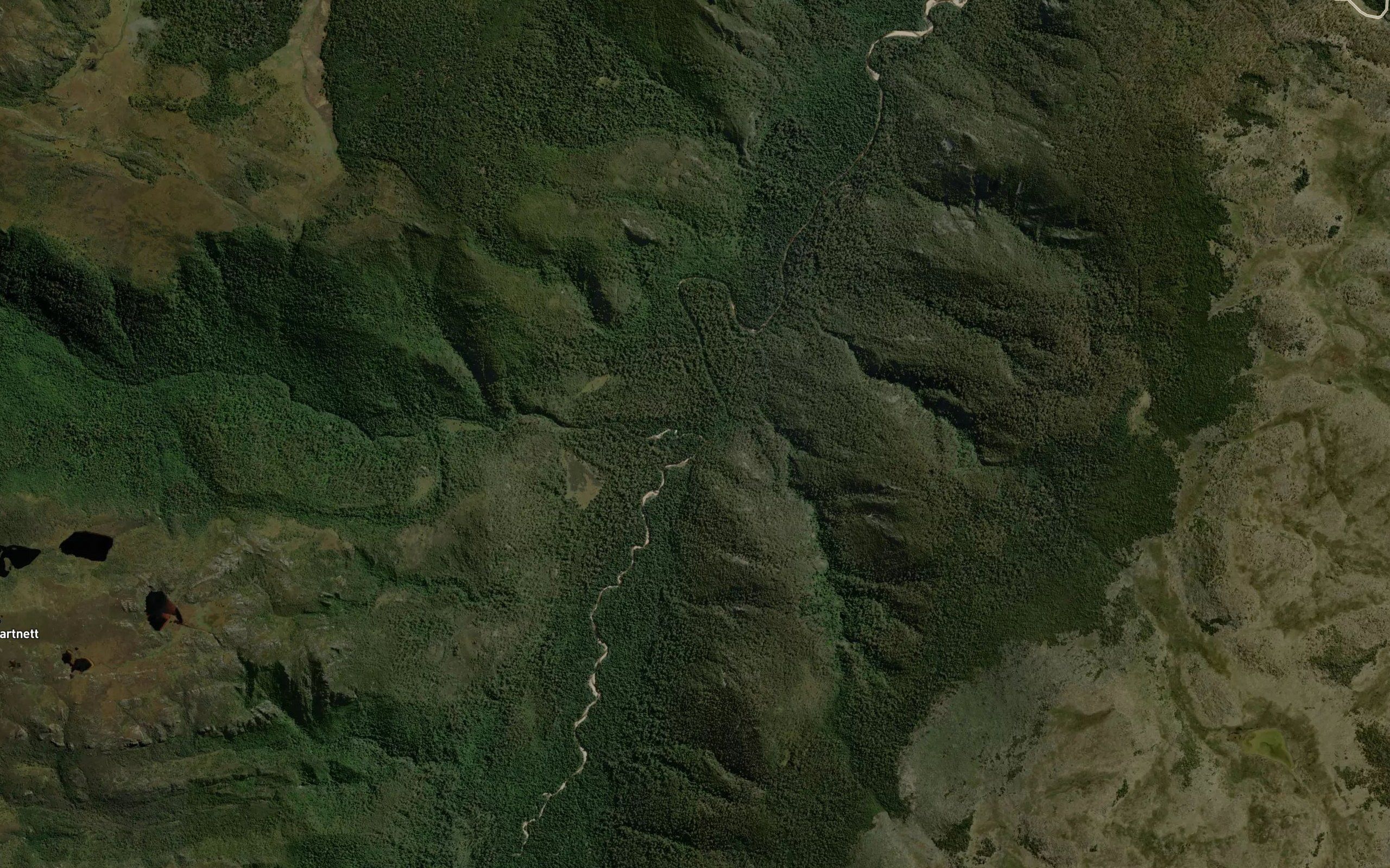 Hartnett Rivulet