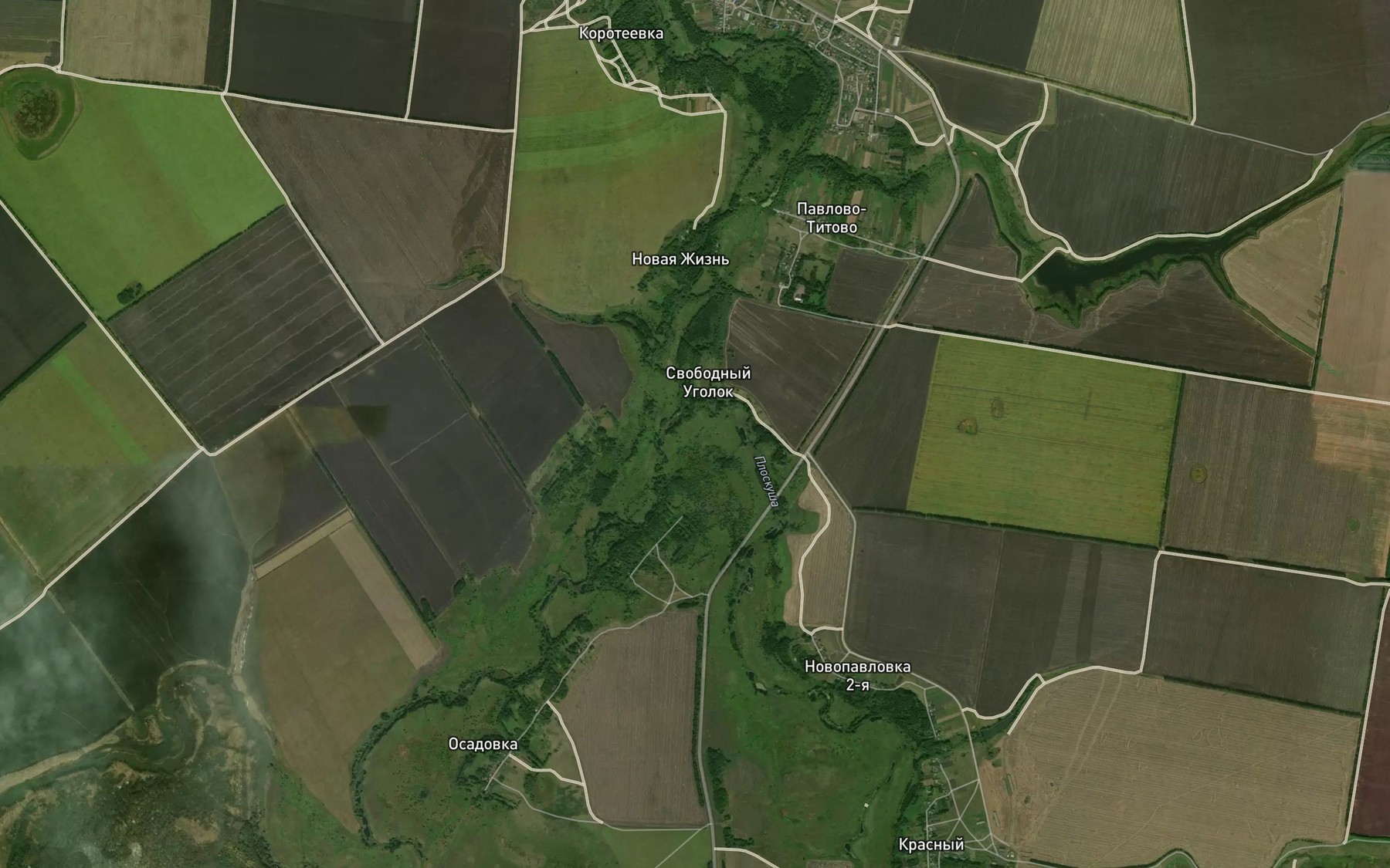 Satellite map of the Ploskusha