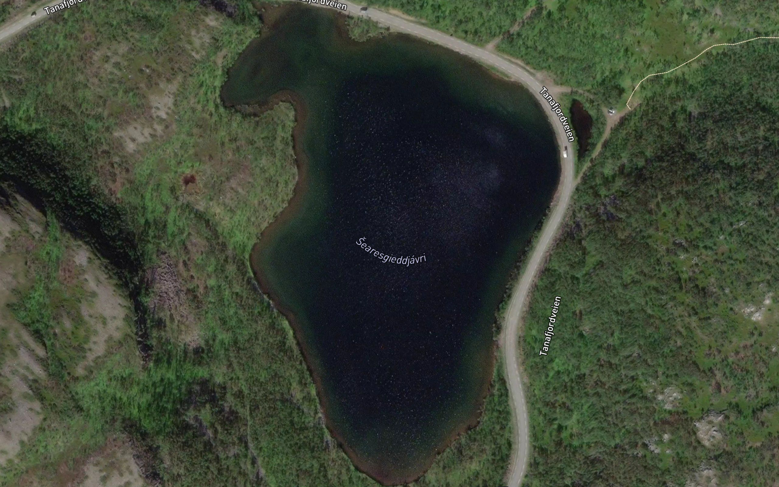 Saeresgieddjavri