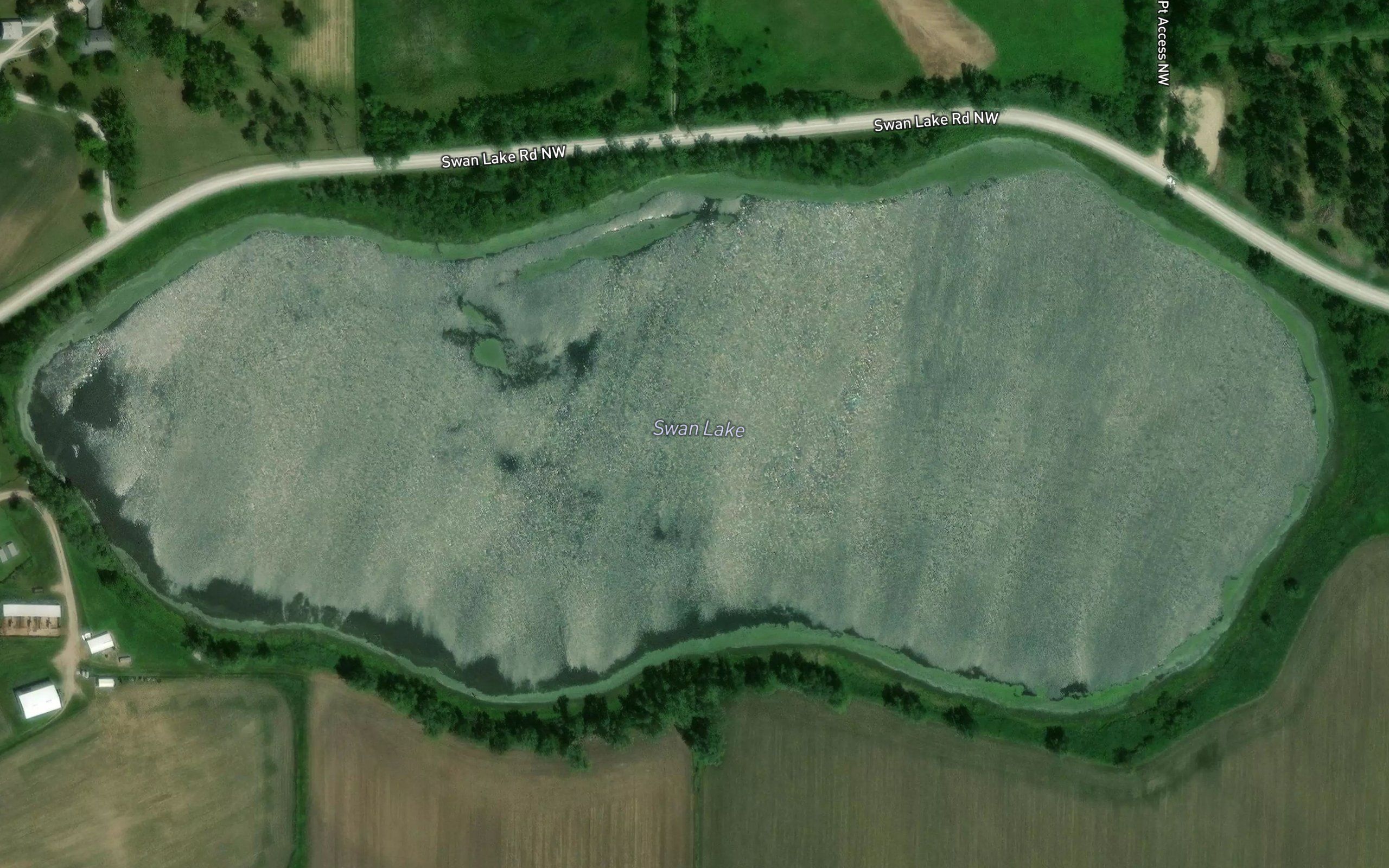 Swan Lake