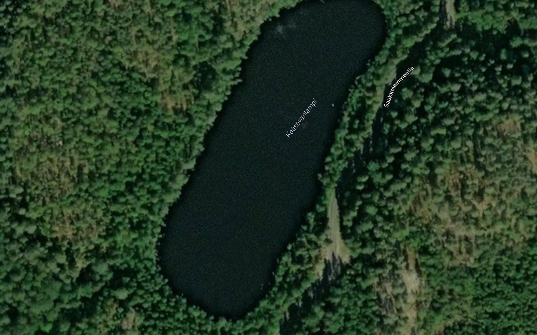 Satellite map of the Kolisevanlampi