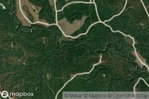 Bush Coon Creek