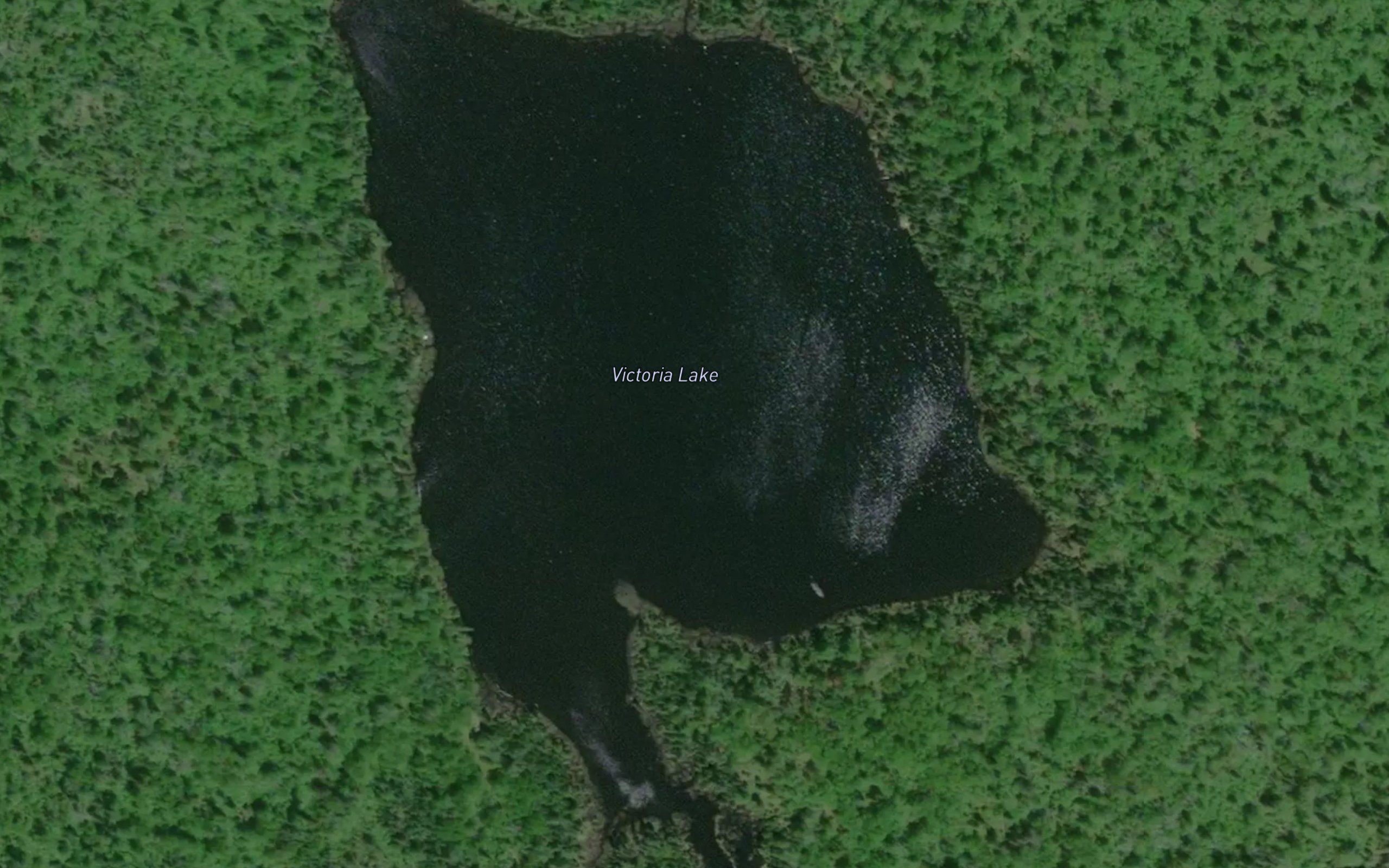 Victoria Lake