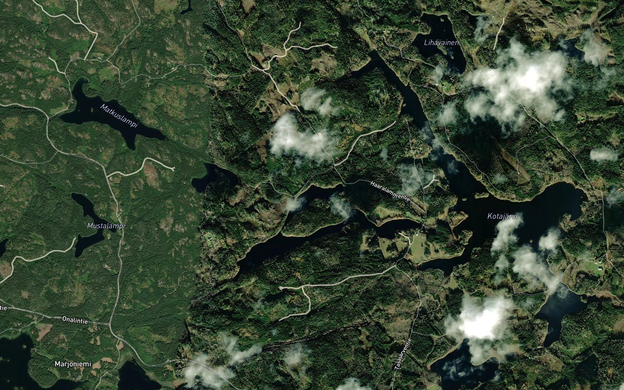 Haaralampi