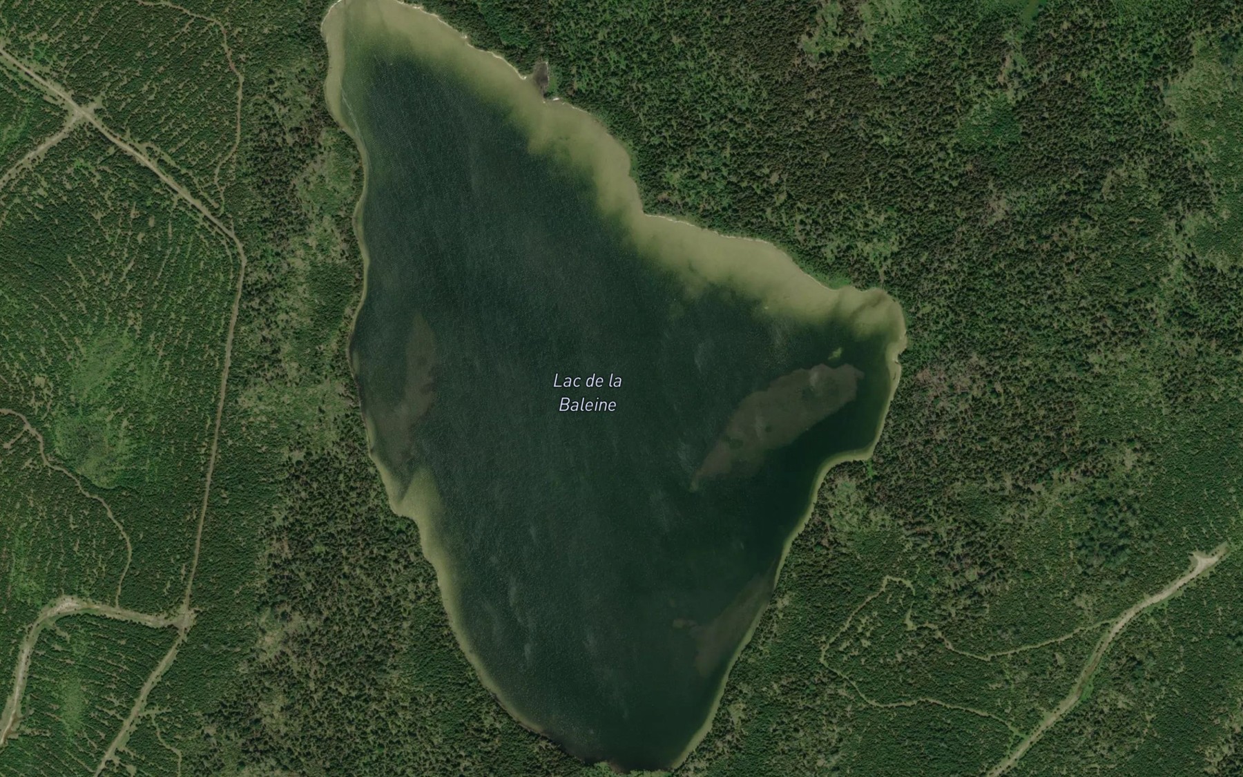 Satellite map of the Lac de la Baleine