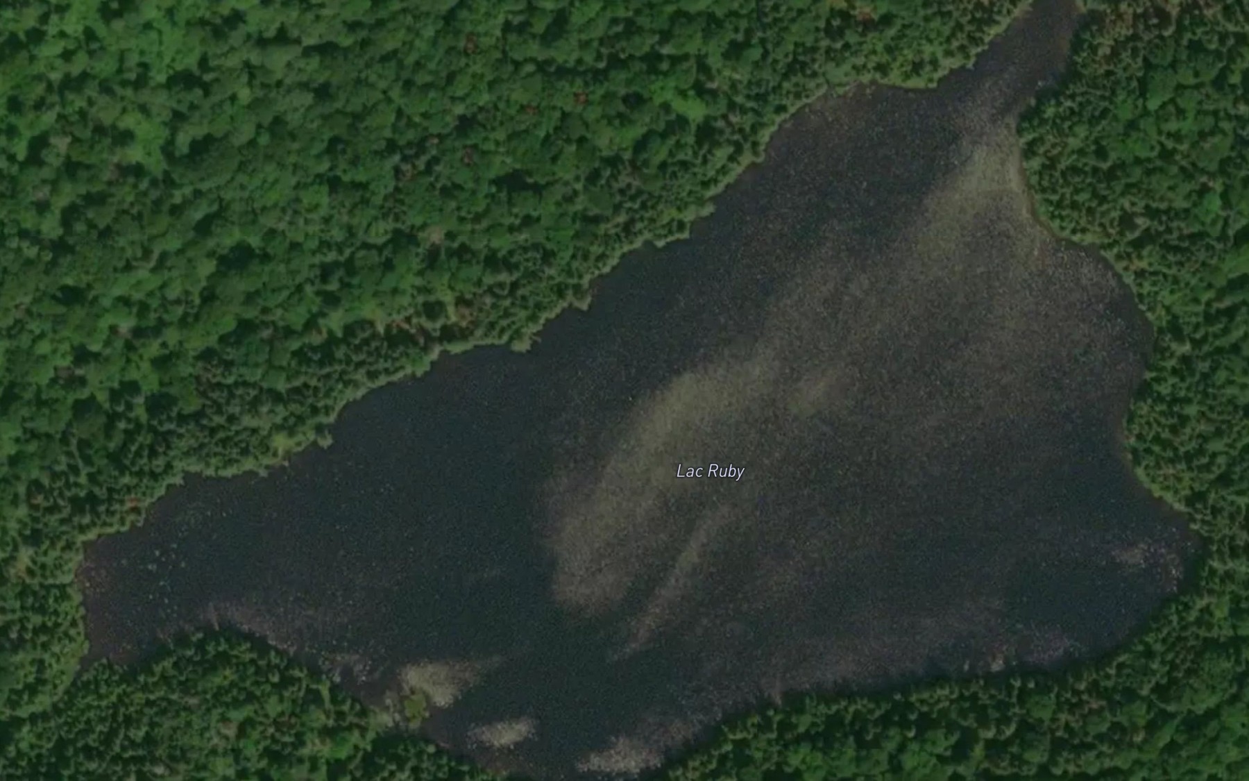 Satellite map of the Lac Ruby