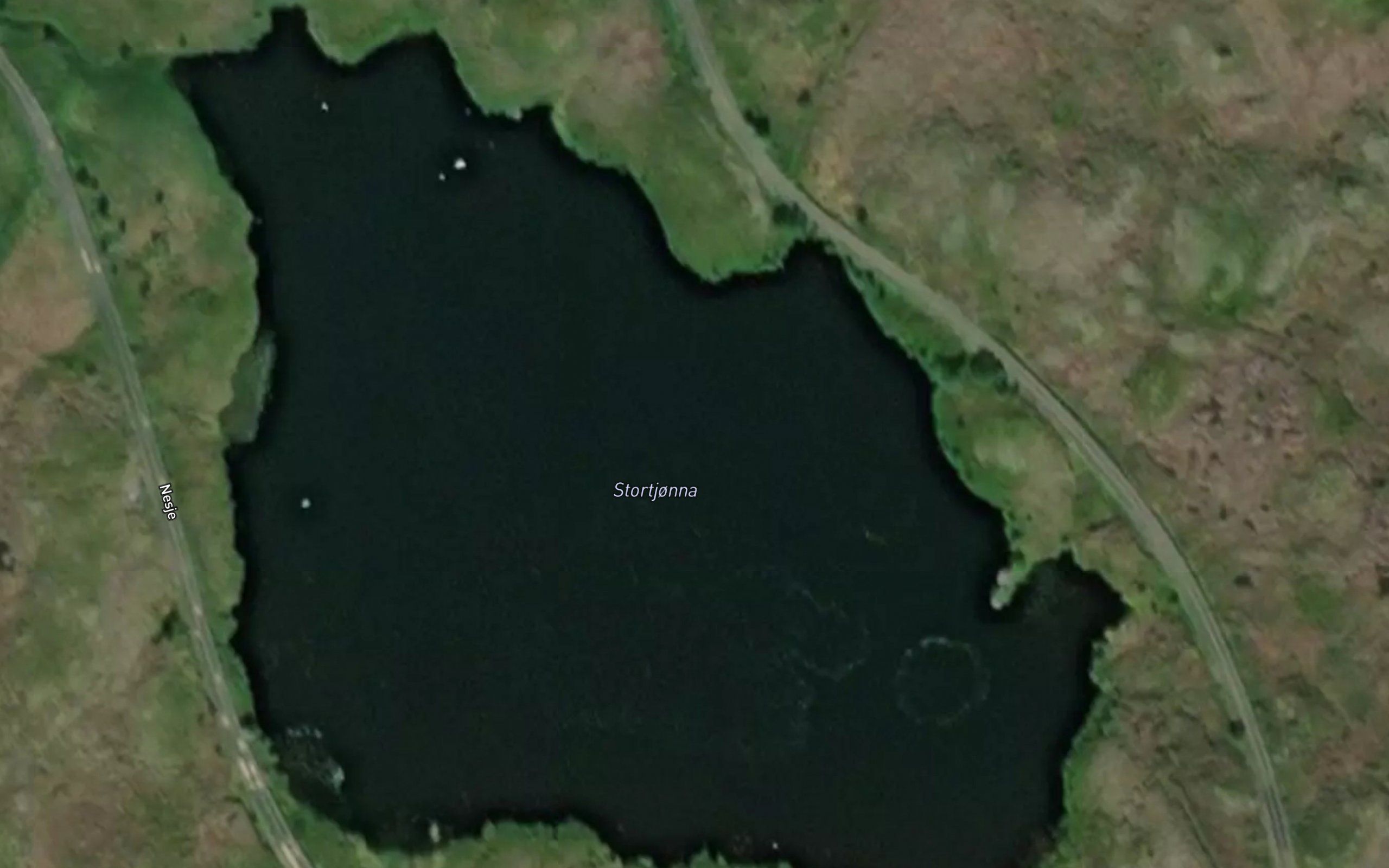 Stortjorna