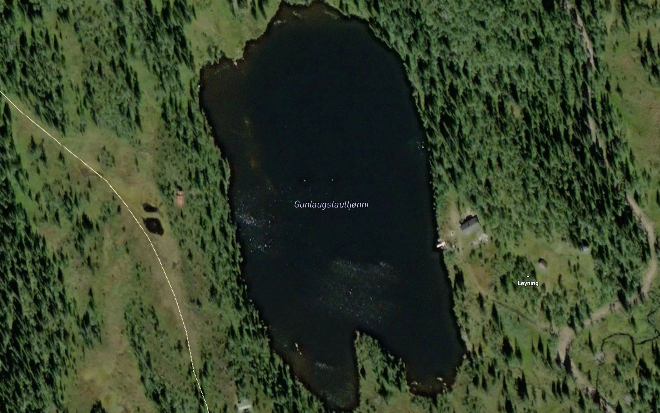 Gunlaugstaultjonni