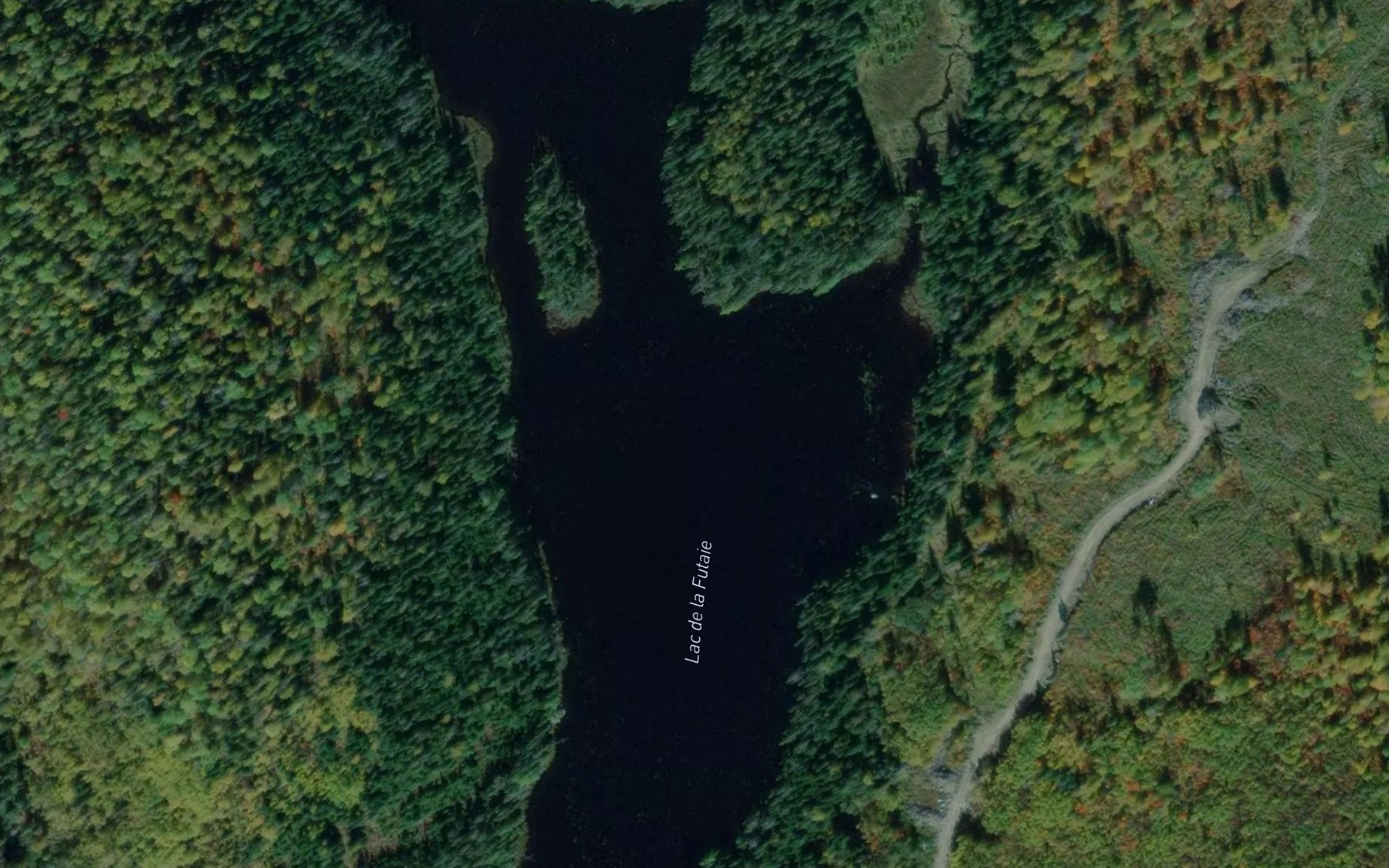 Satellite map of the Lac de la Futaie