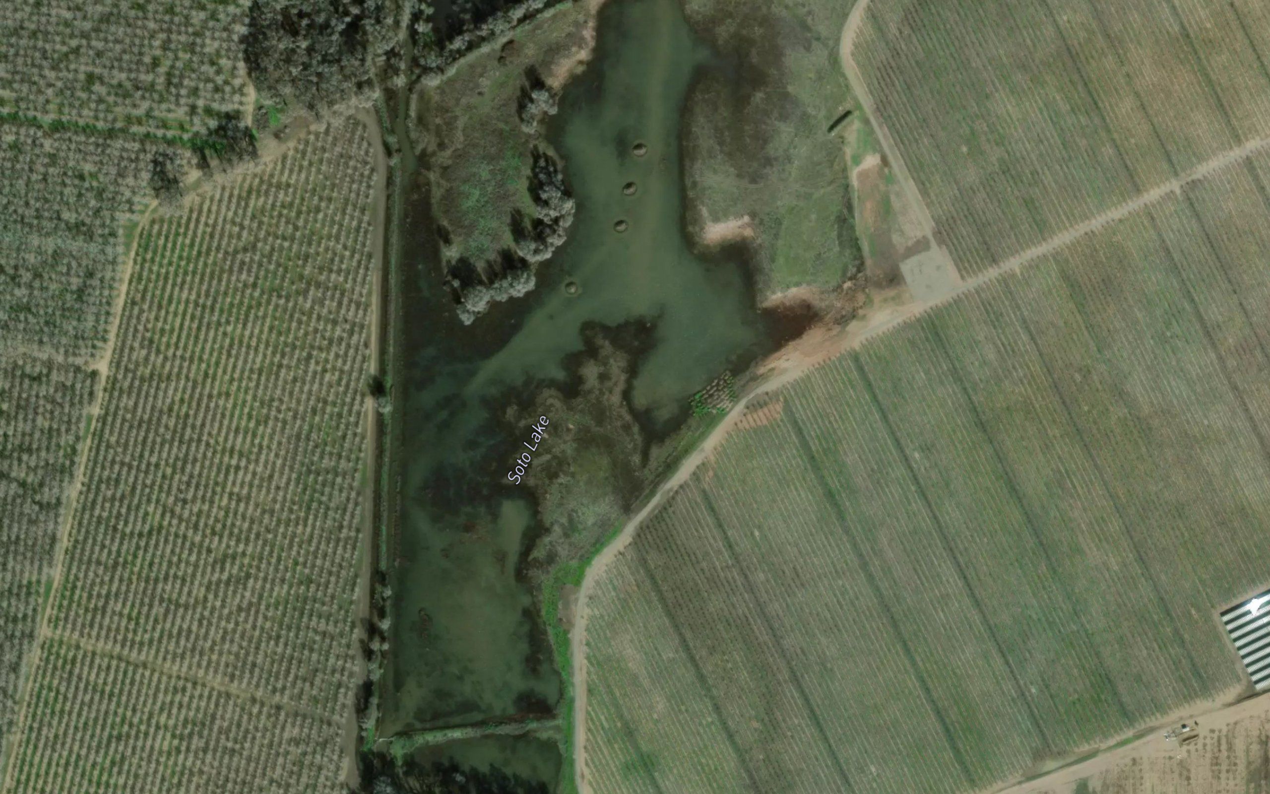 Soto Lake