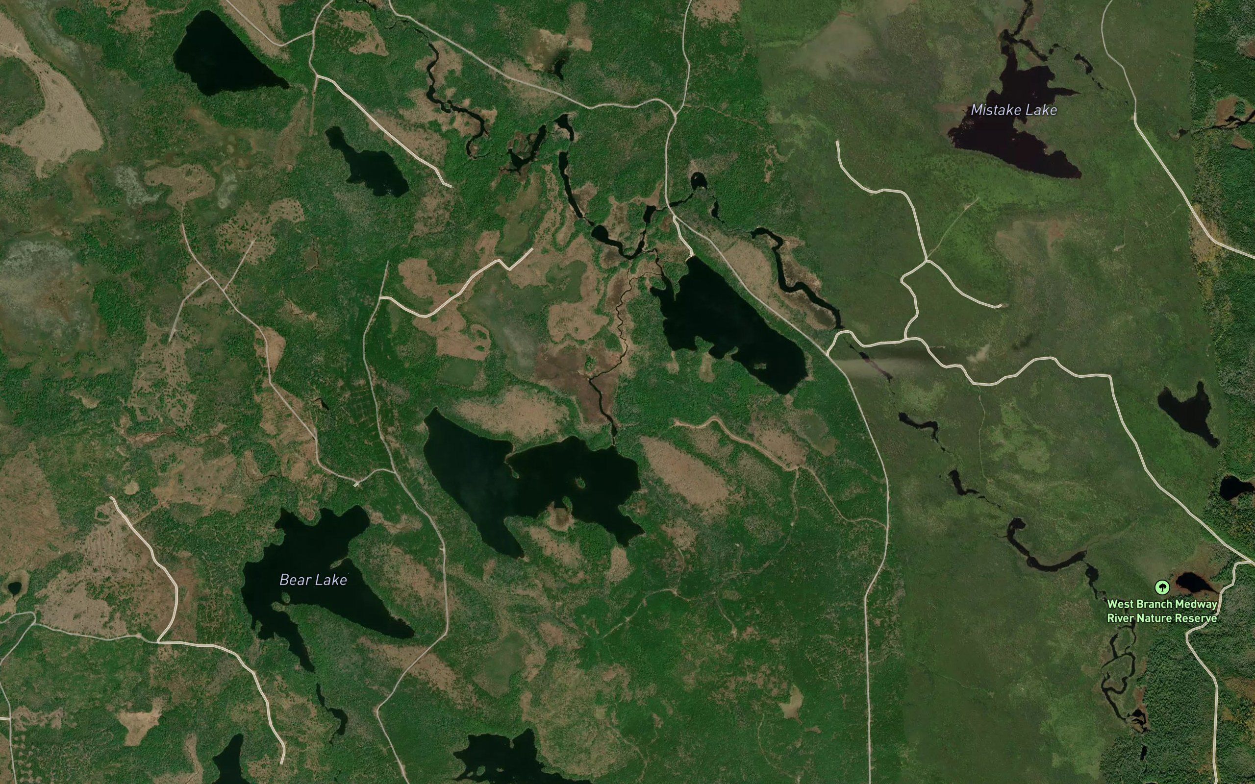 Bog Brook