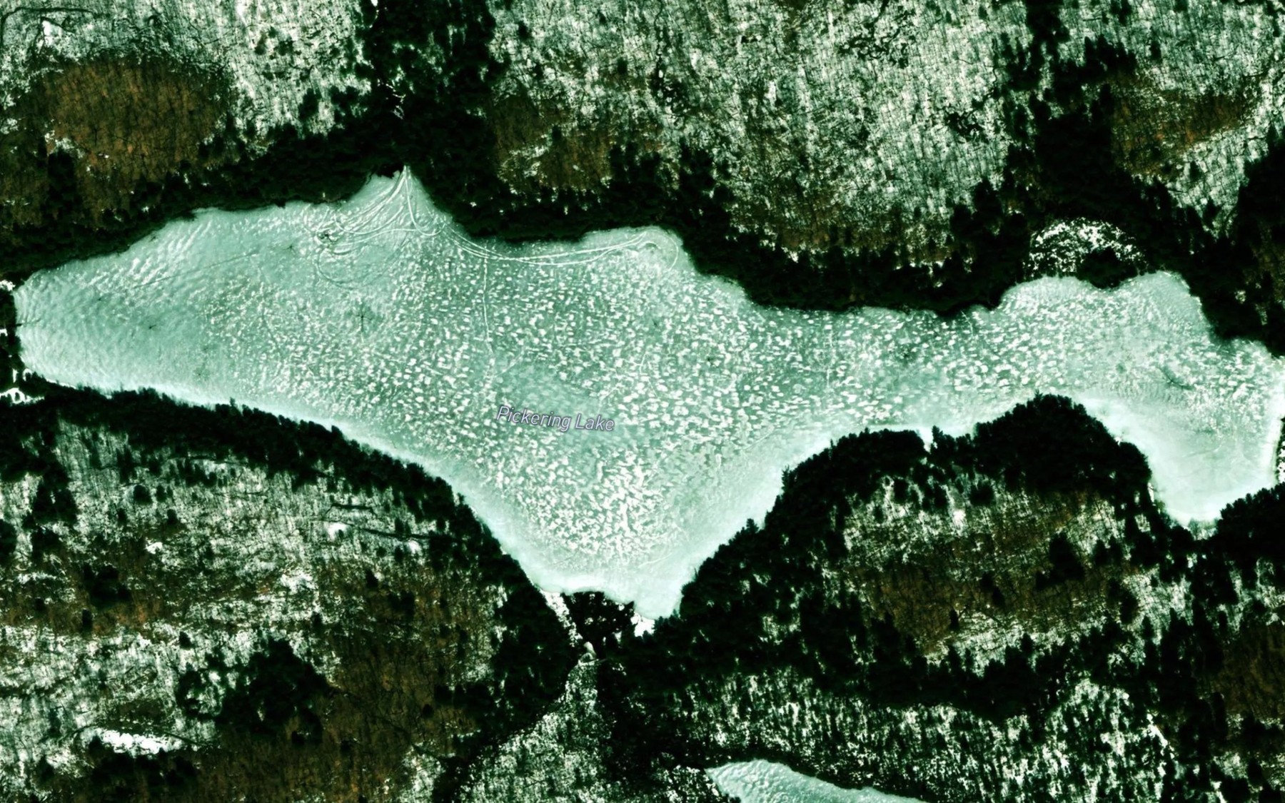 Satellite map of the Pickering Lake