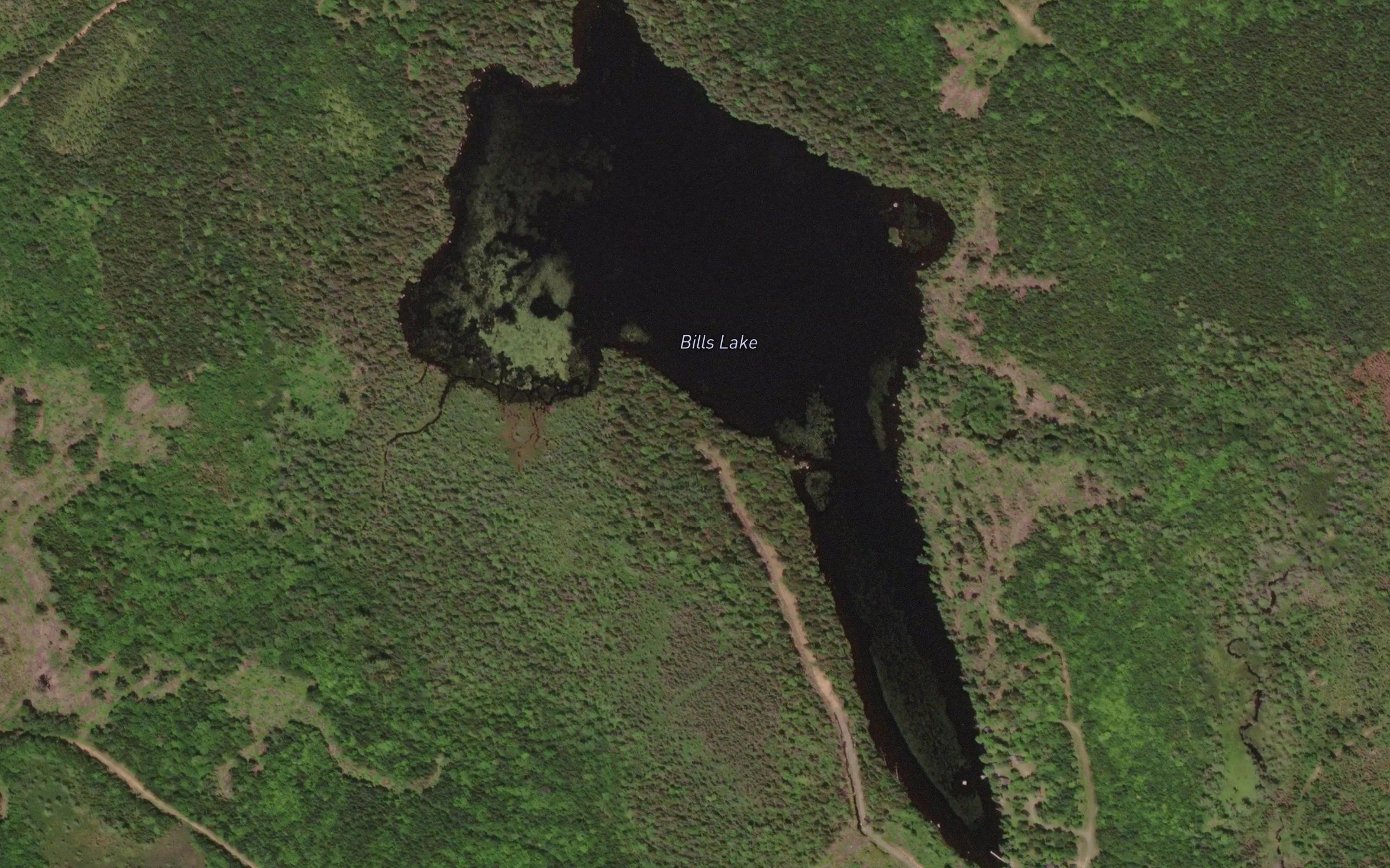Bills Lake