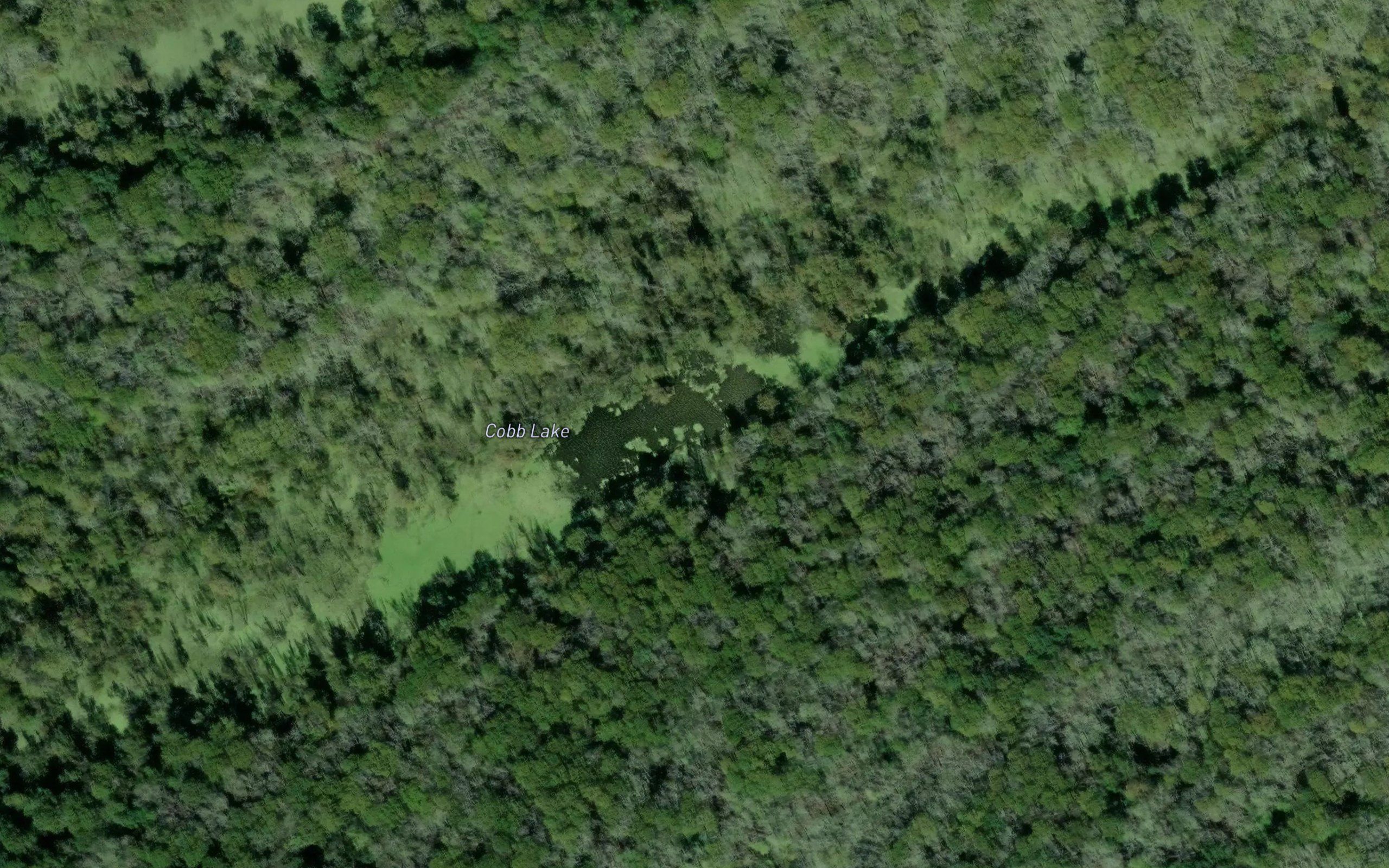 Cobb Lake