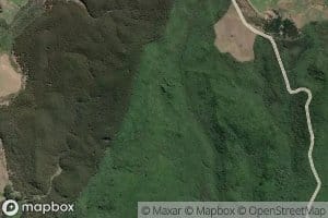 Otutira Stream