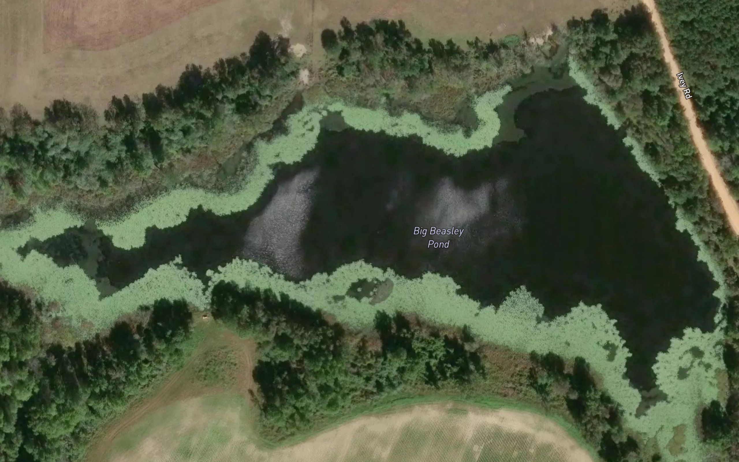 Big Beasley Pond