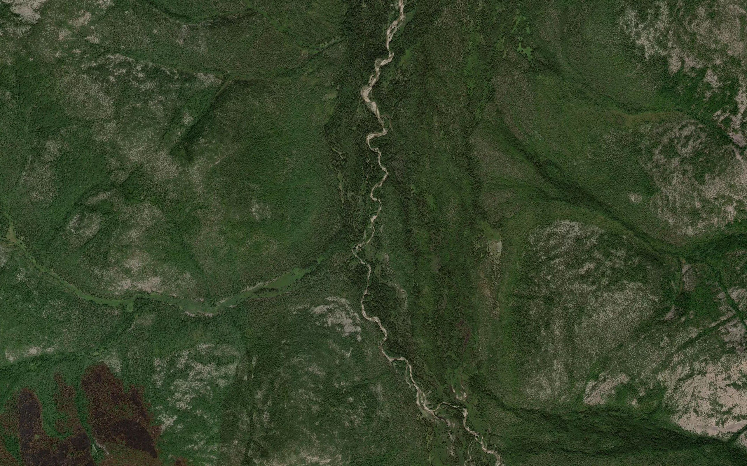 Tikhiy