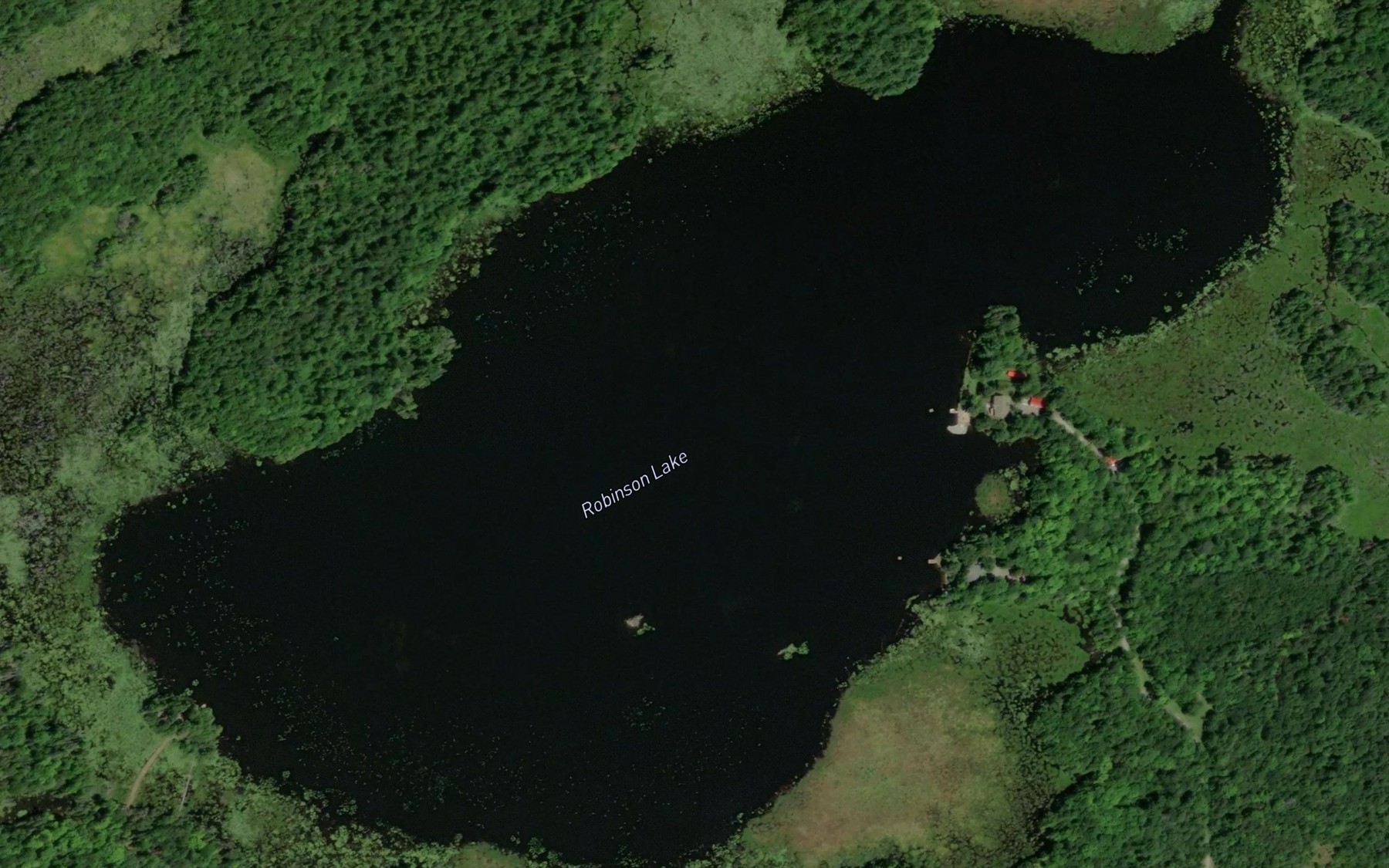 Satellite map of the Robinson Lake