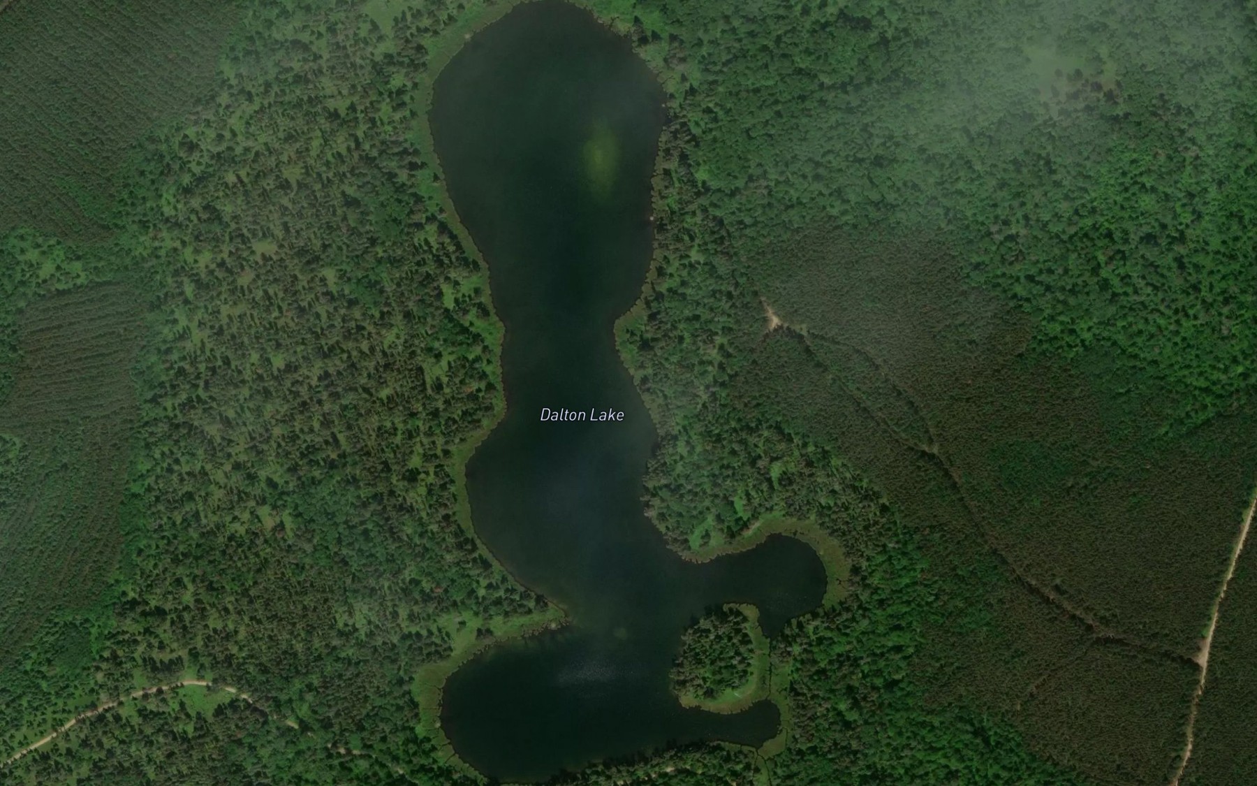 Satellite map of the Dalton Lake