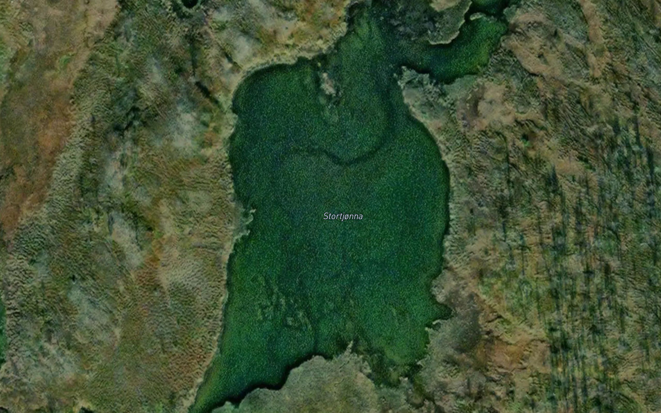 Stortjorna