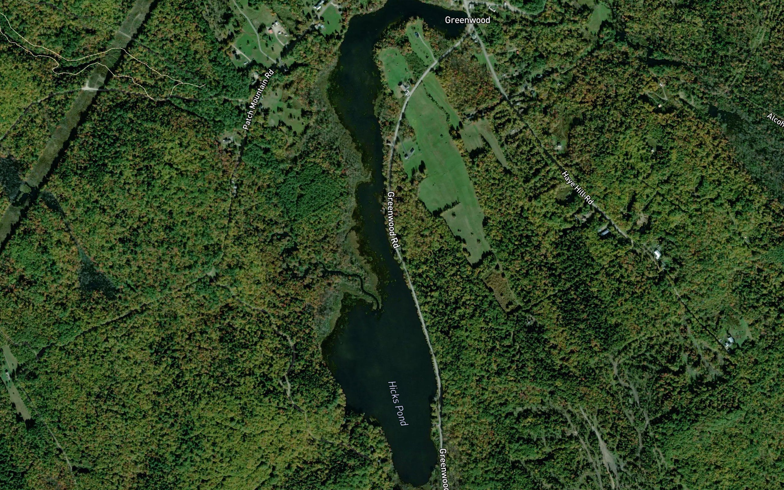 Hicks Pond