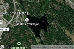 Kvarntrasket
