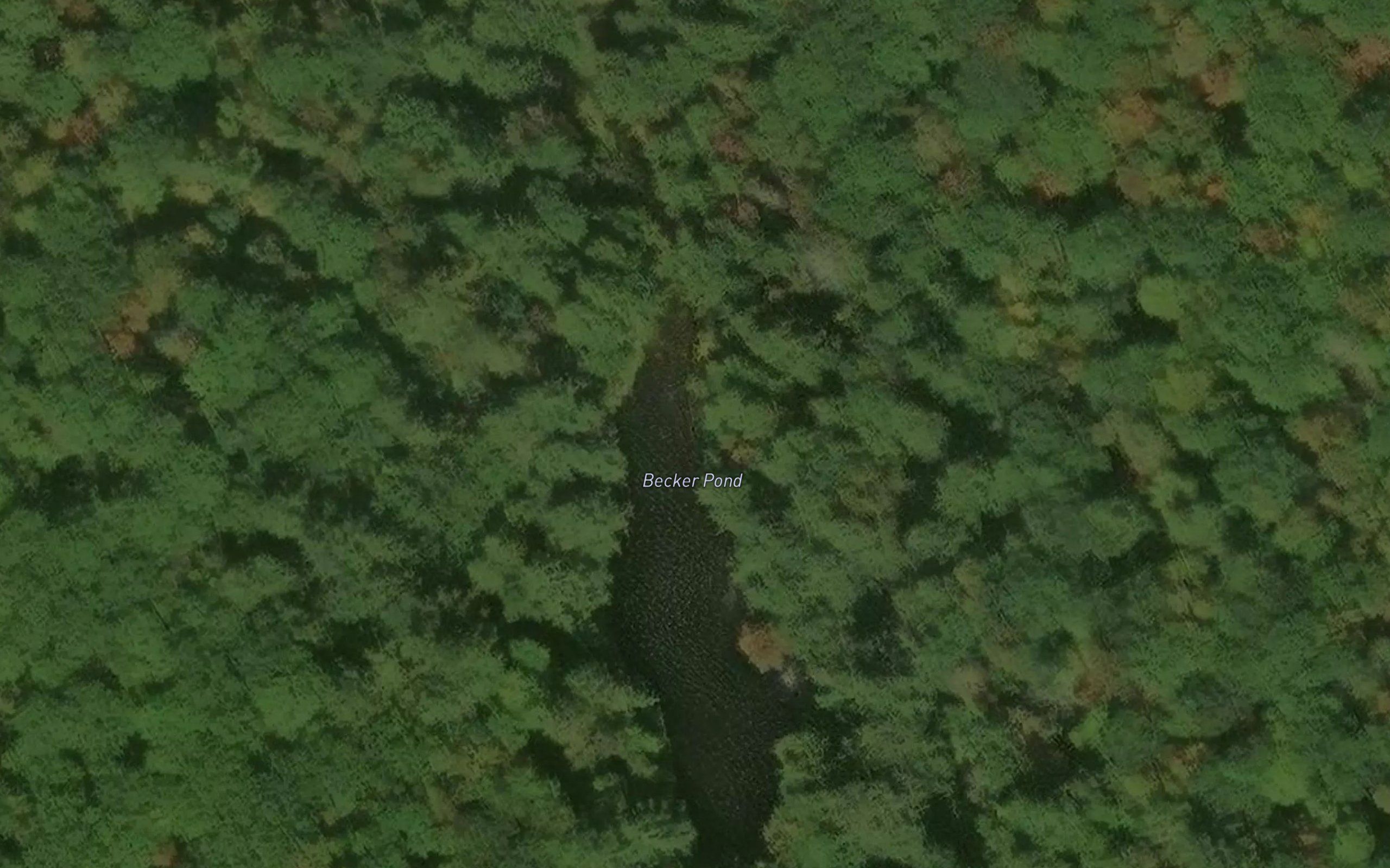 Becker Pond
