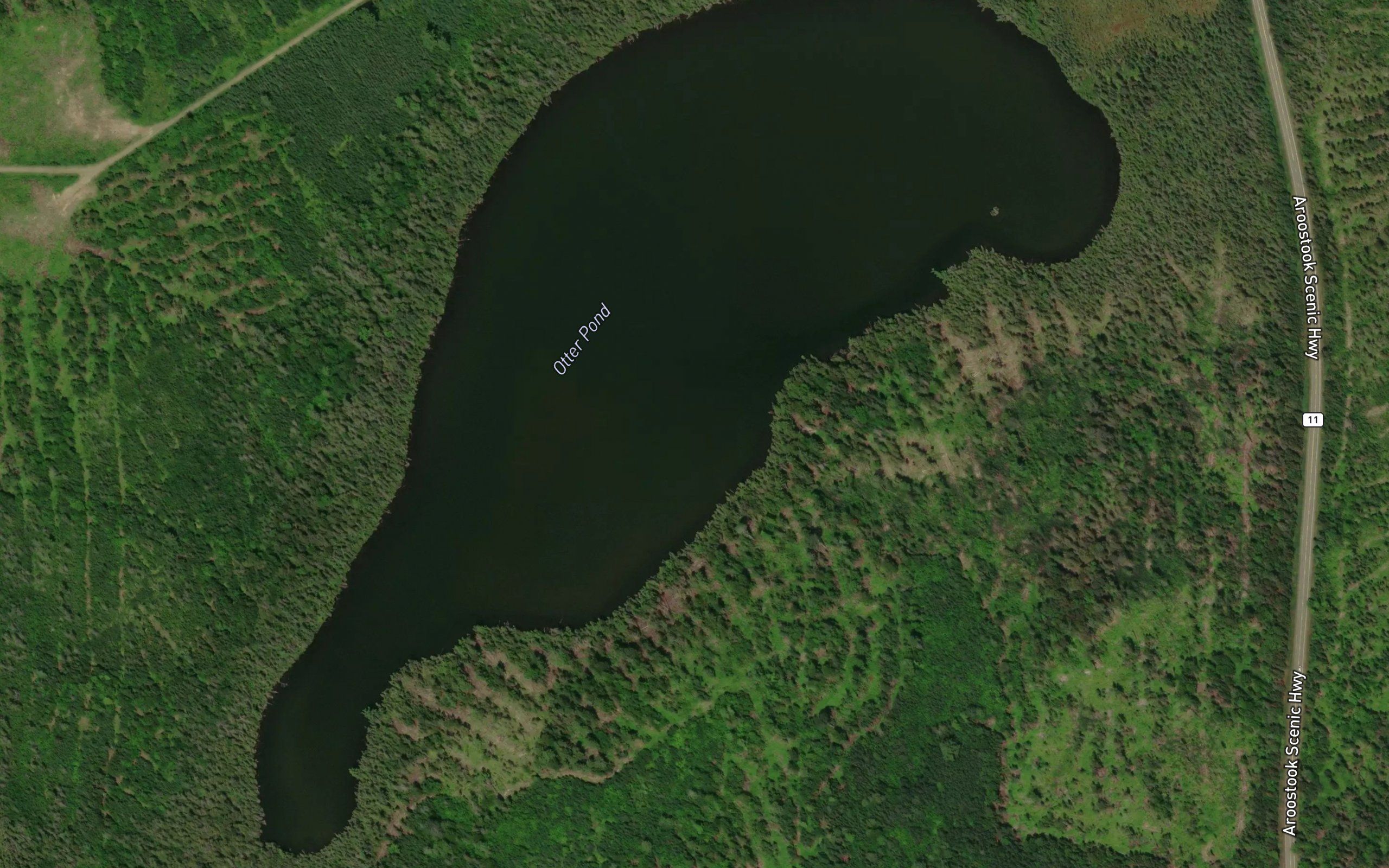 Otter Pond