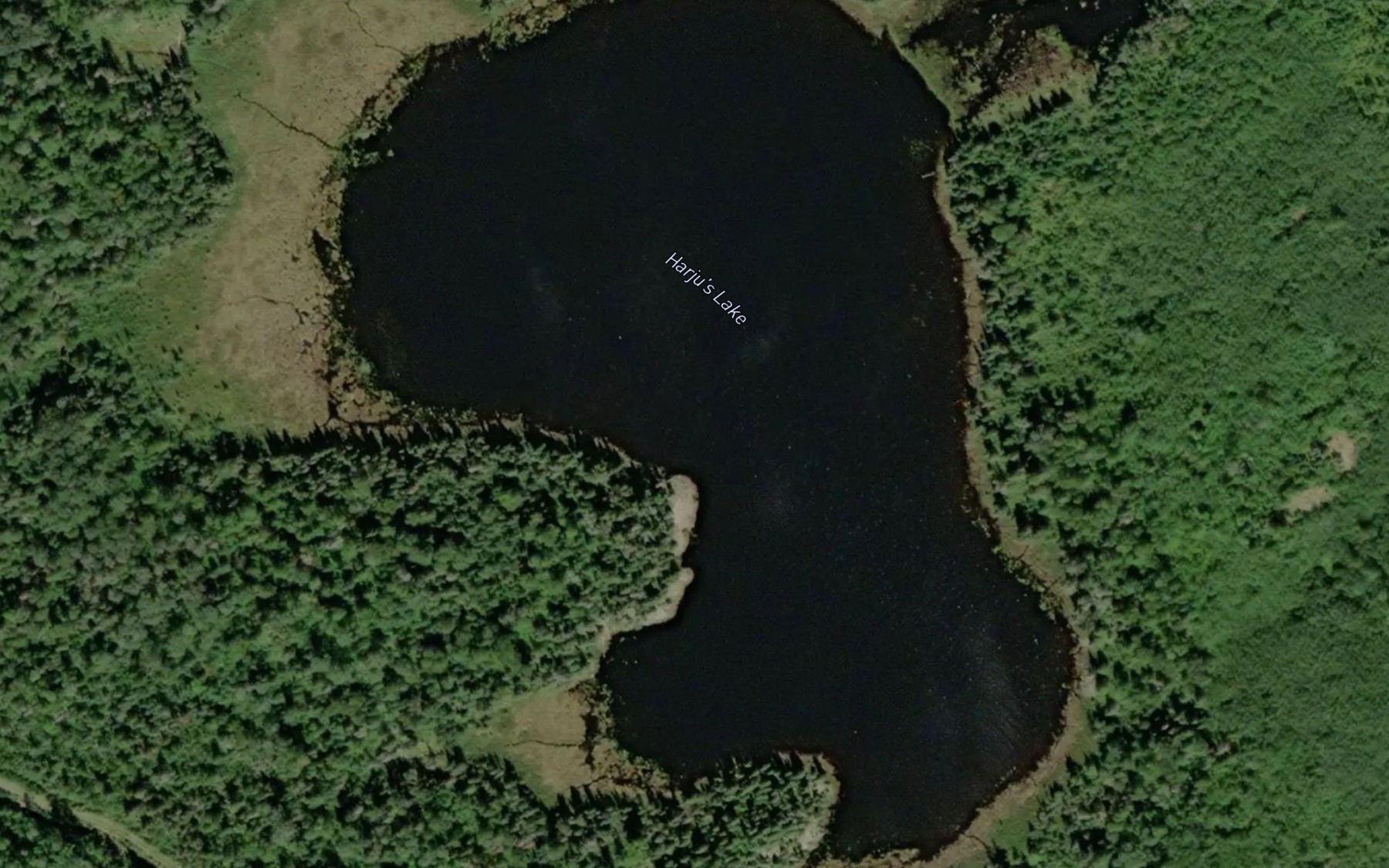 Satellite map of the Harju's Lake