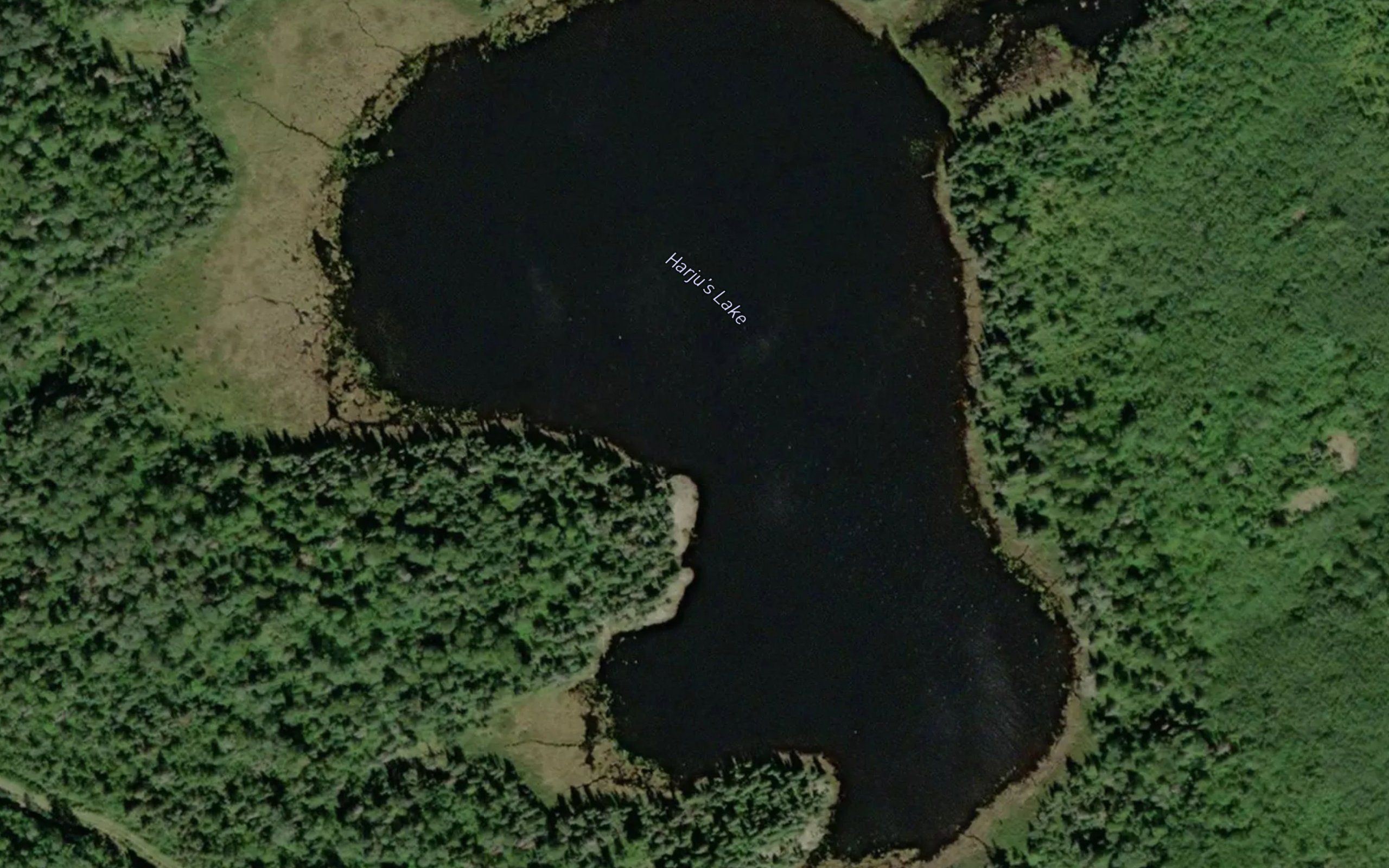 Harju's Lake