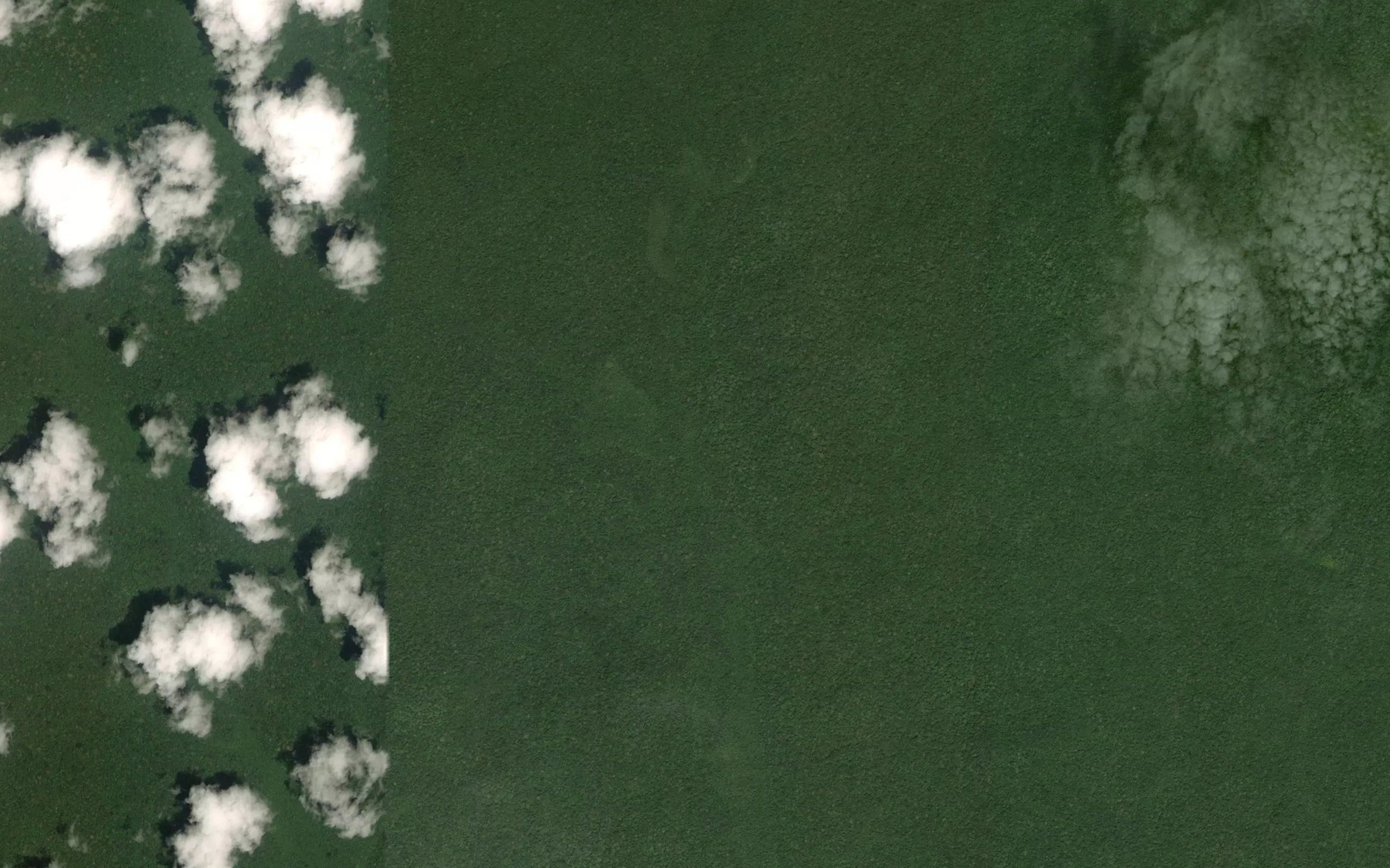 Satellite map of the Elebe