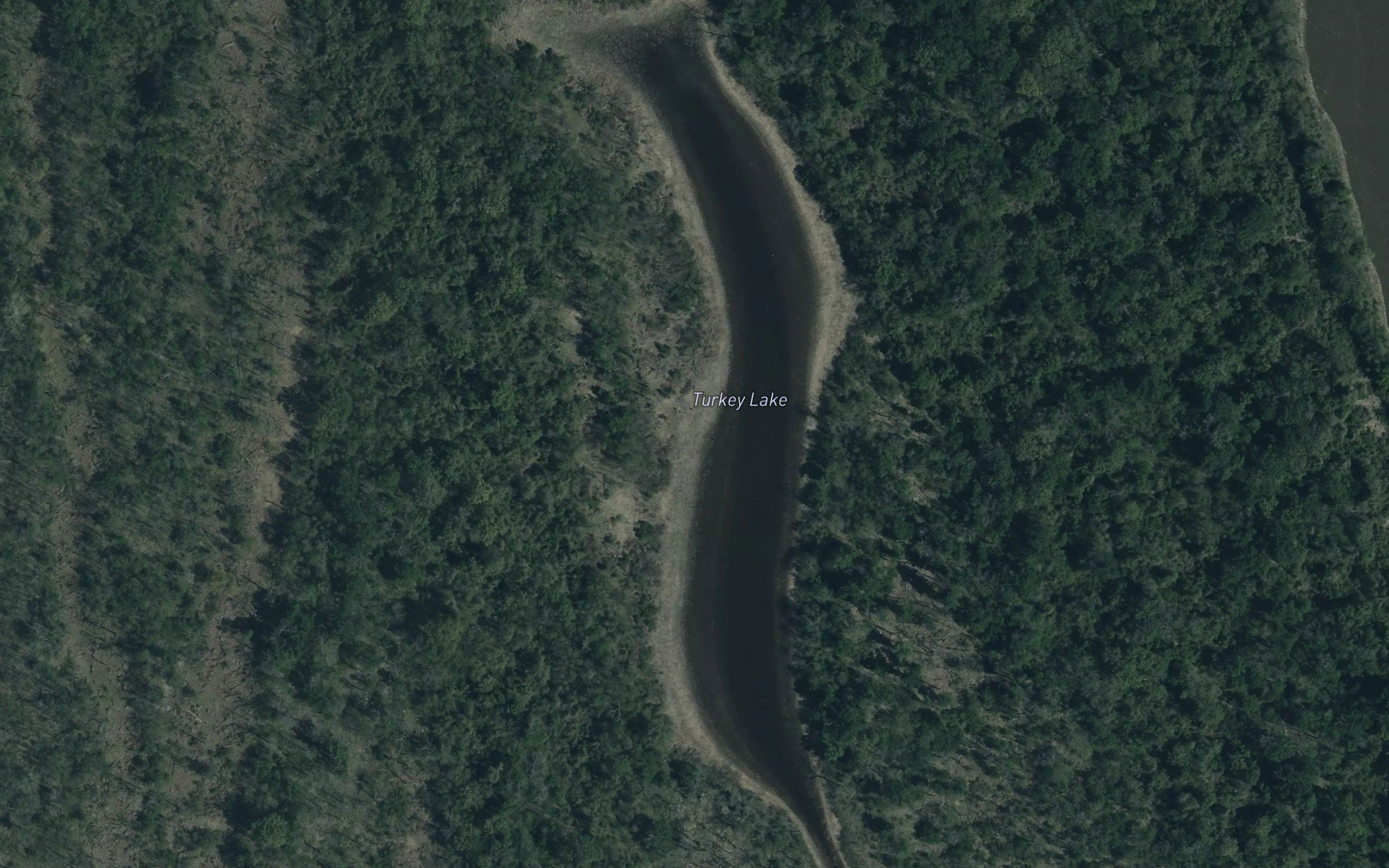 Turkey Lake